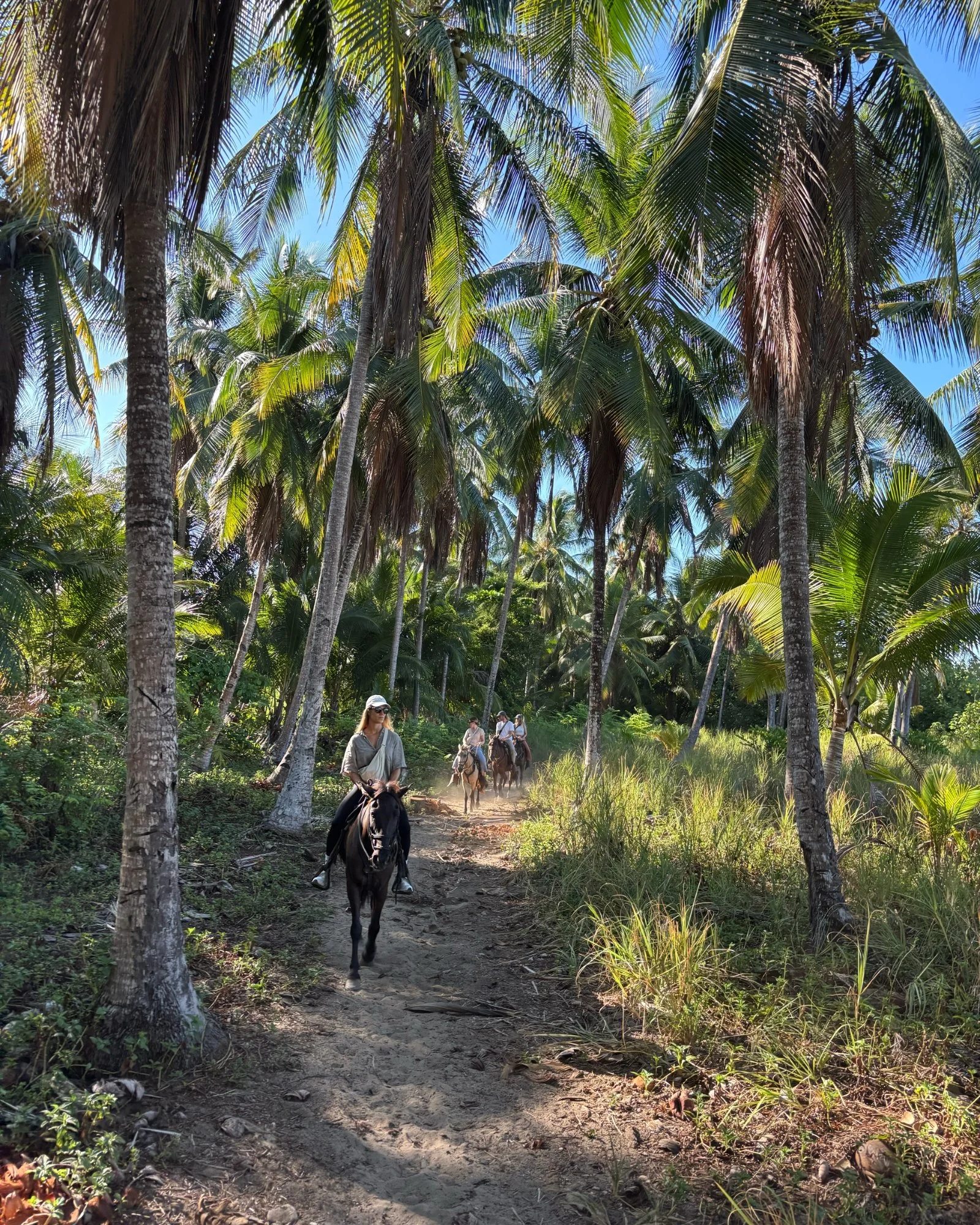 Horseback riding through a palm grove near Playa Hermosa, Santa Teresa, Costa Rica