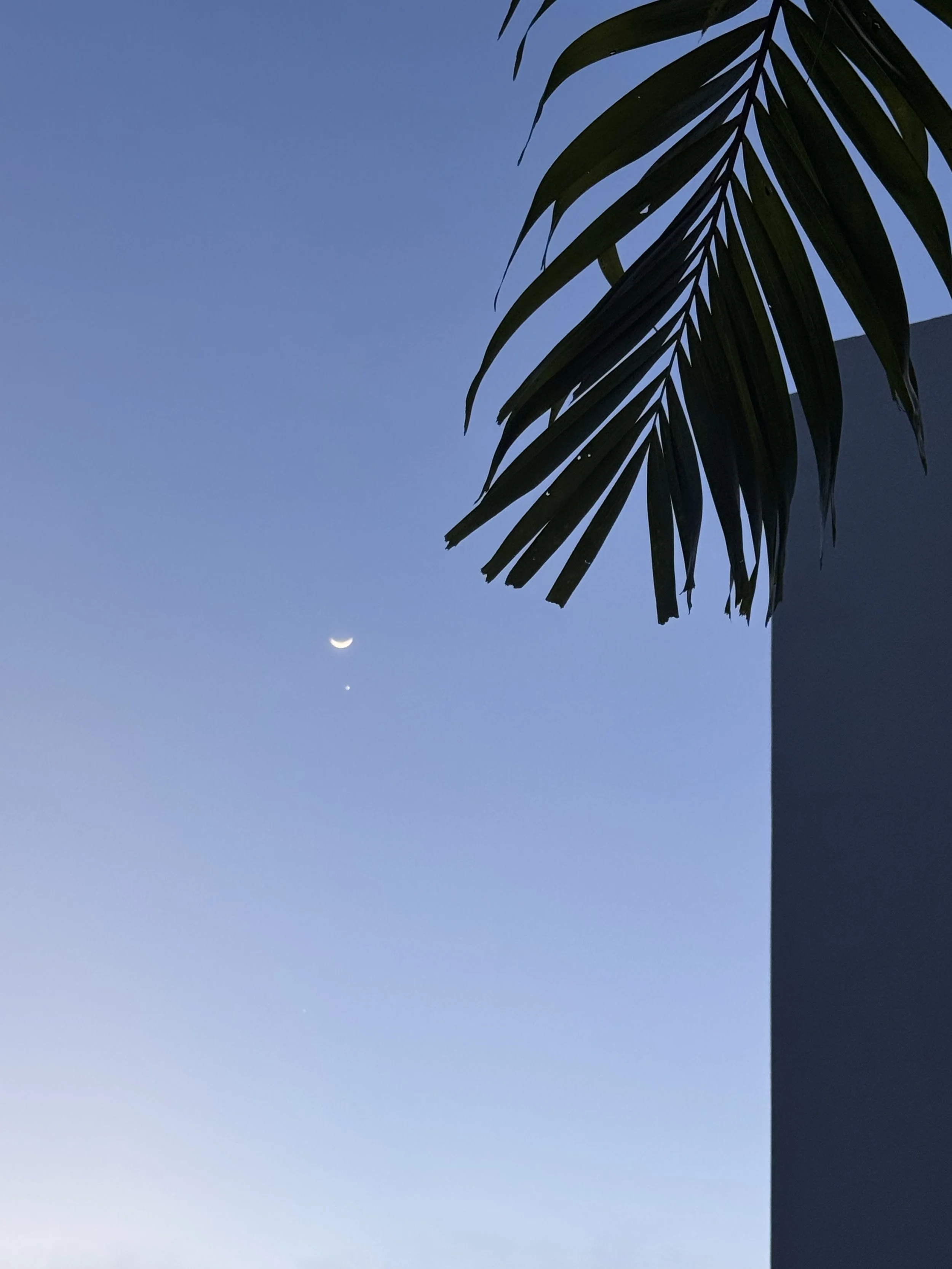 VISTA NALU facade framed by palm leaves beneath the evening sky, with the moon and evening star visible in Santa Teresa, Costa Rica.