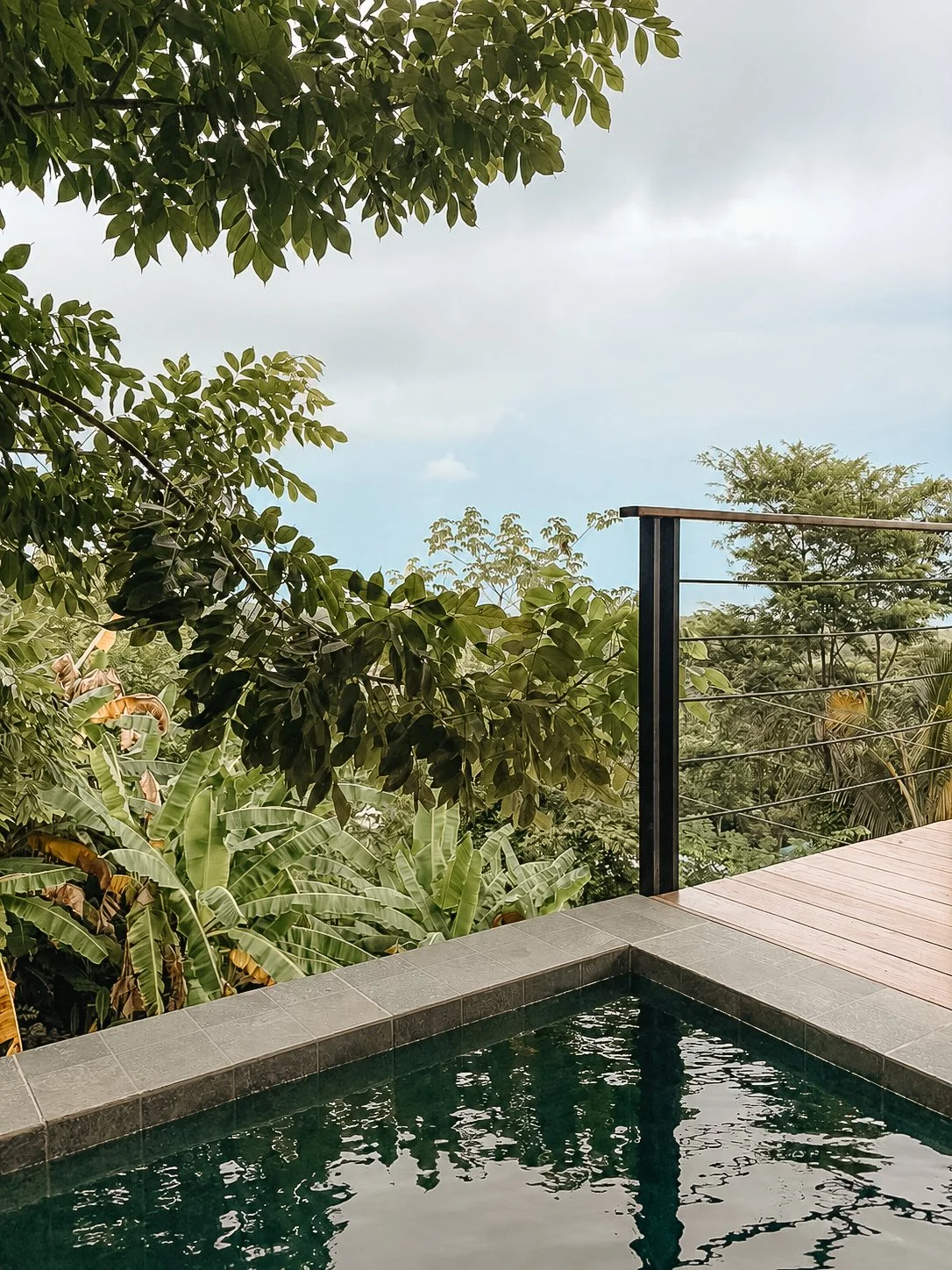 Private plunge pool surrounded by dense tropical greenery.