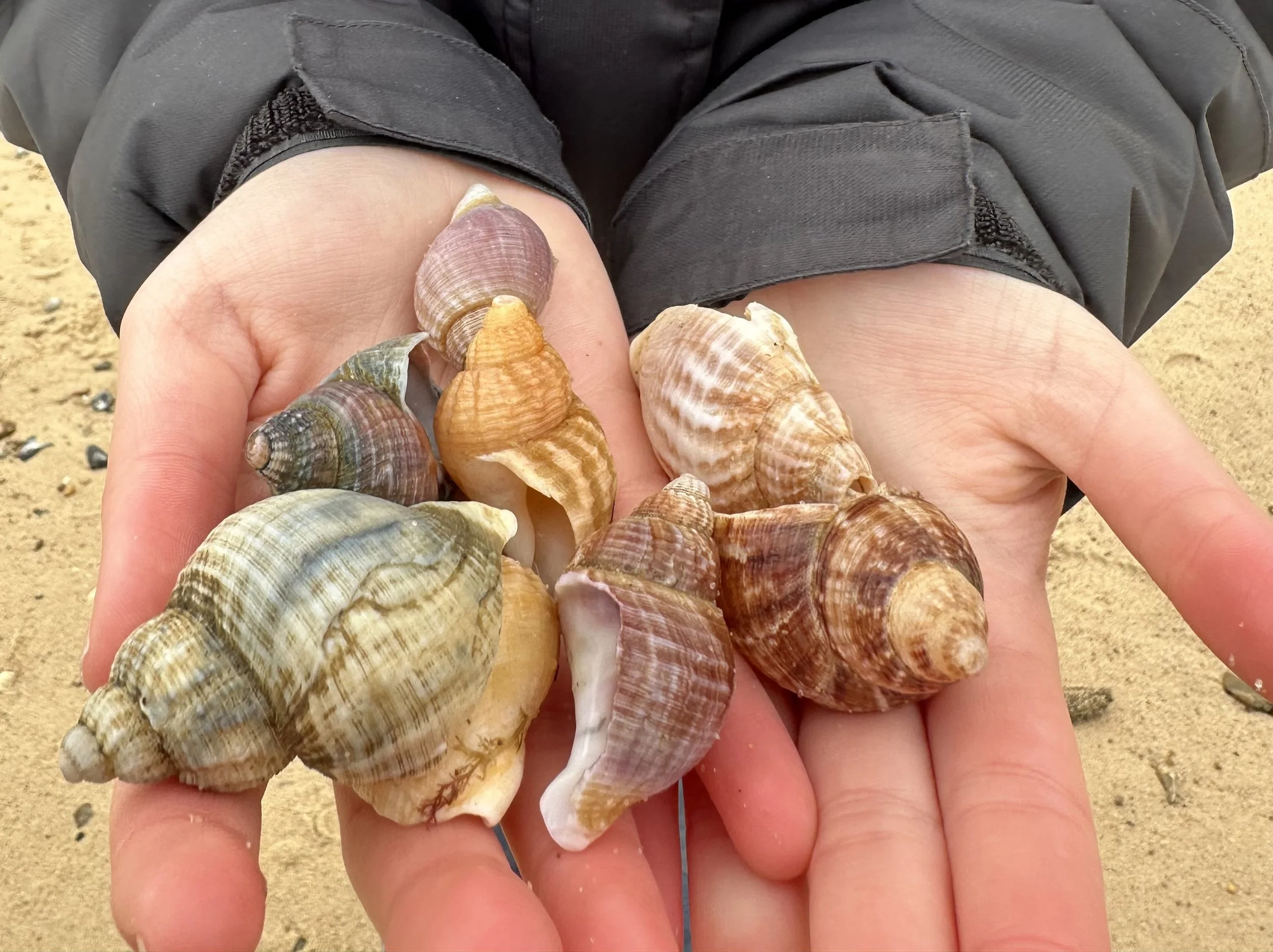 Nature’s patterns soothe the brain.&nbsp;