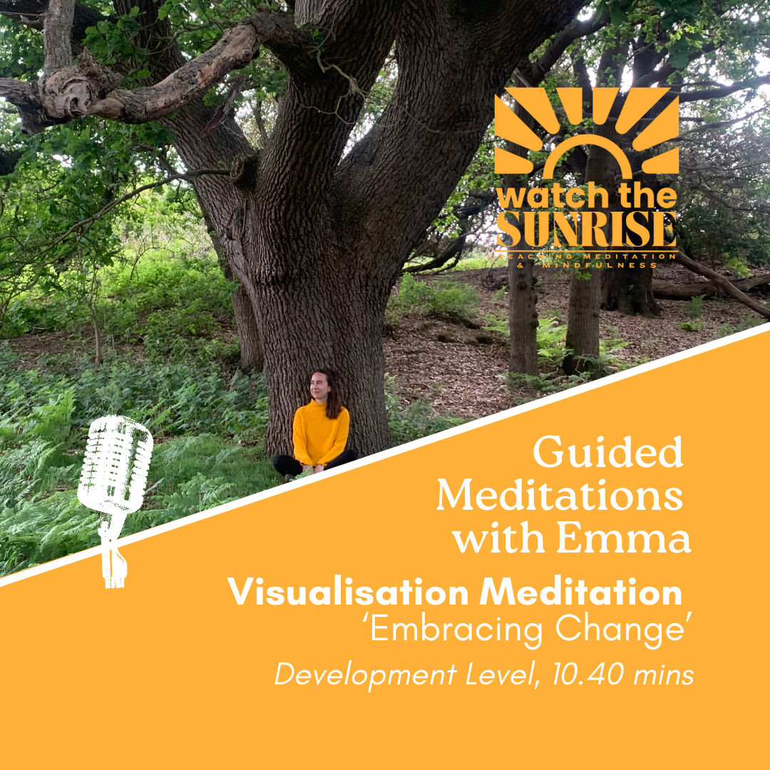 Visualisation Meditation: Embracing Change