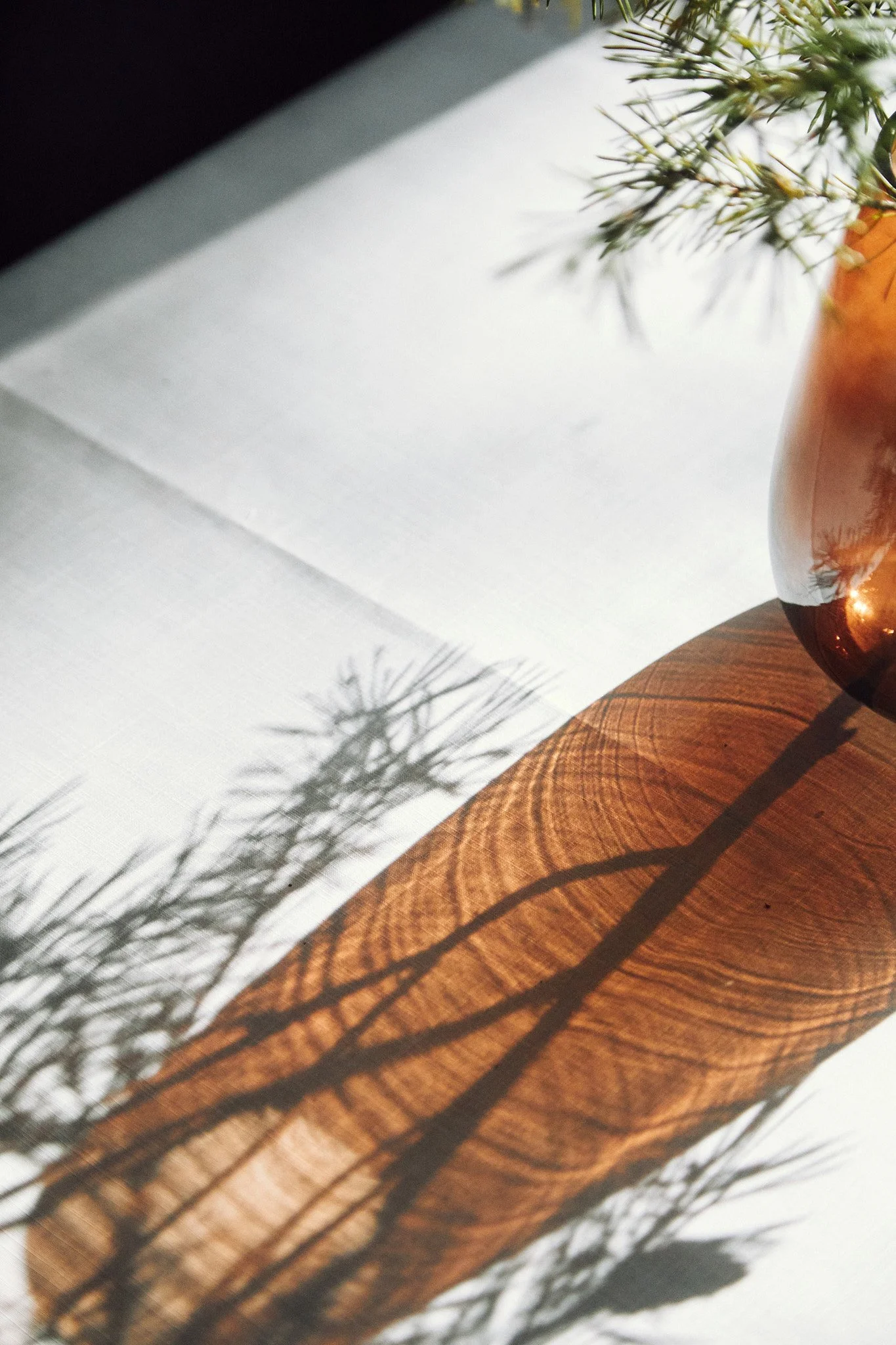 Glass vase casting a shadow with plant stems on a sunlit table.