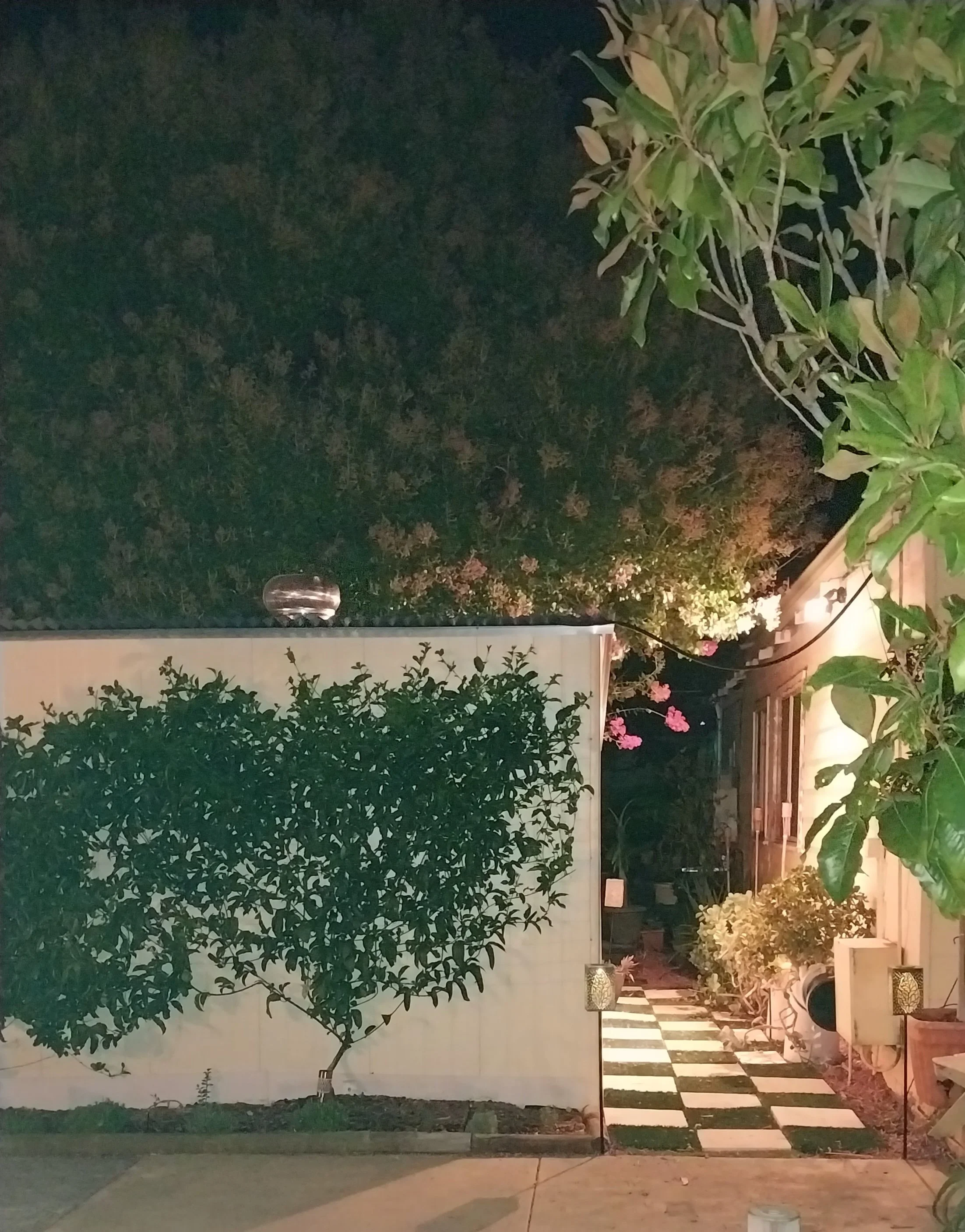 Installed container home on residential property