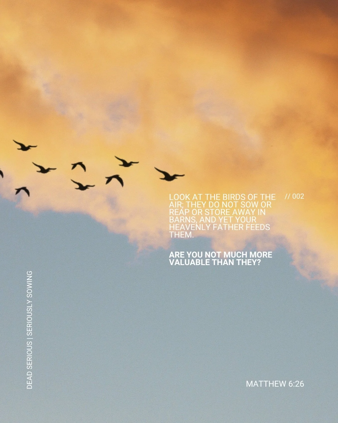 &ldquo;Look at the birds&hellip;&rdquo;
If God provides for them, how much more for you?

This week we continued our Dead Serious teaching series, Seriously Sowing. We explored Jesus&rsquo; teachings on a life free from fear and full of generosity.

