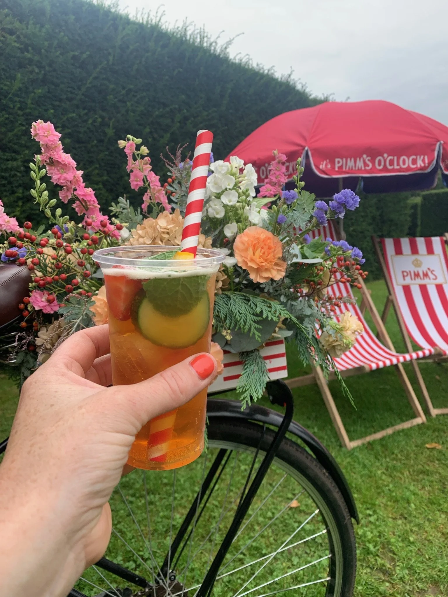 A hand holding a glass of iced tea with lemon slices, mint, and a red and white striped straw, in front of a bicycle with a floral arrangement, pink and purple flowers, a pink umbrella with white writing, and striped deck chairs with the logo "PIMM'S" on a grassy outdoor setting.