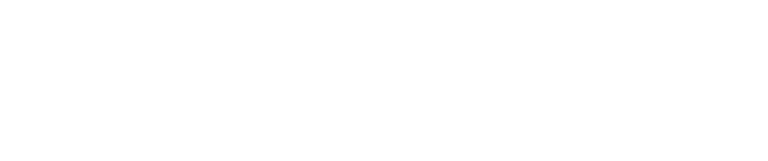 The Flavor Fleet Logo