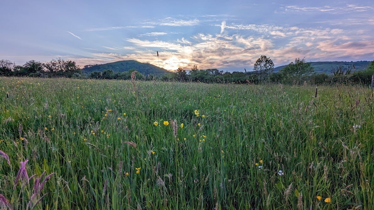 Council of All Beings Retreat May 2024