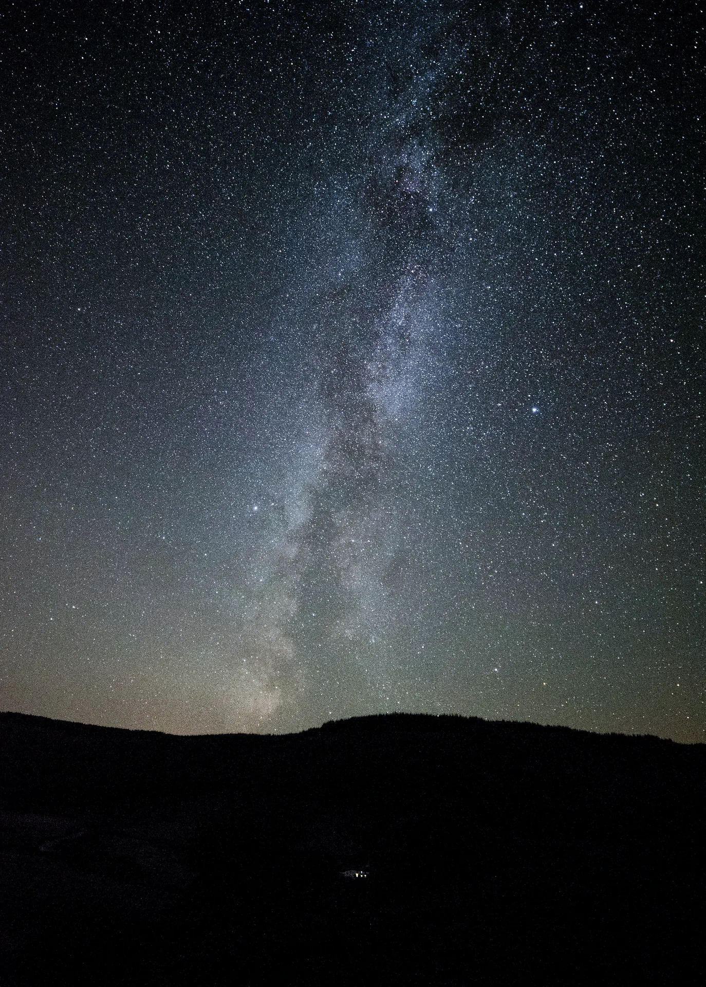 A star-studded sky with blooms or trails of light travelling up from the dark ground in silhoutte up and to the top of the frame.  Thousands of stars, tiny white lights, of all different sizes.