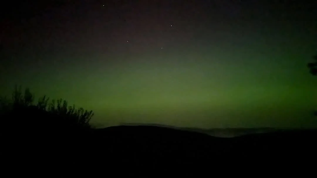 Nighttime landscape with a dark silhouette of hills and shrubs, green aurora borealis in the sky, and a few visible stars.