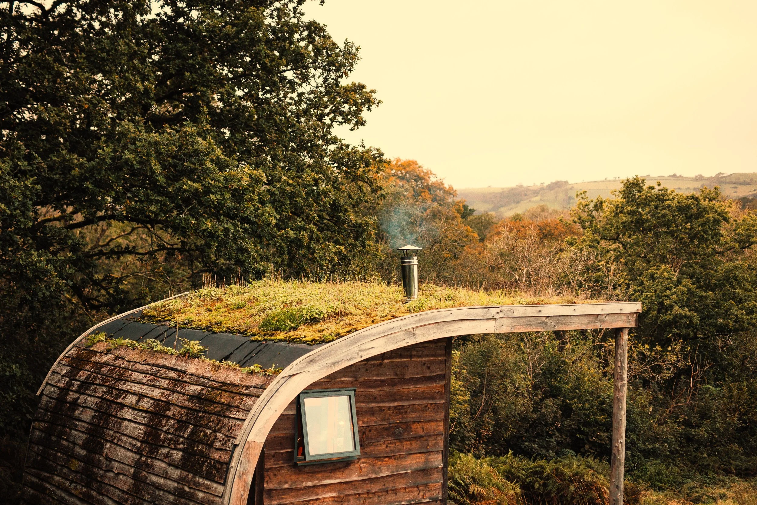 The upper part of a cabin clad in wany edge timber floor to ceiling curved timber clad roof, green on the top. Smoke curling from the metal stove flu in the golden evening light, oak tree above leaning over, hills and trees in distance.