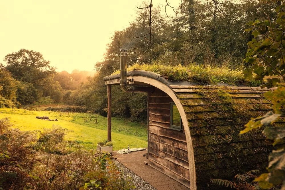 Looking out from behind Hafan cabin, bathed in sunlight, across its green timber clad curved roof, timber support post and deck, onto the meadow and hedgerows beyond.