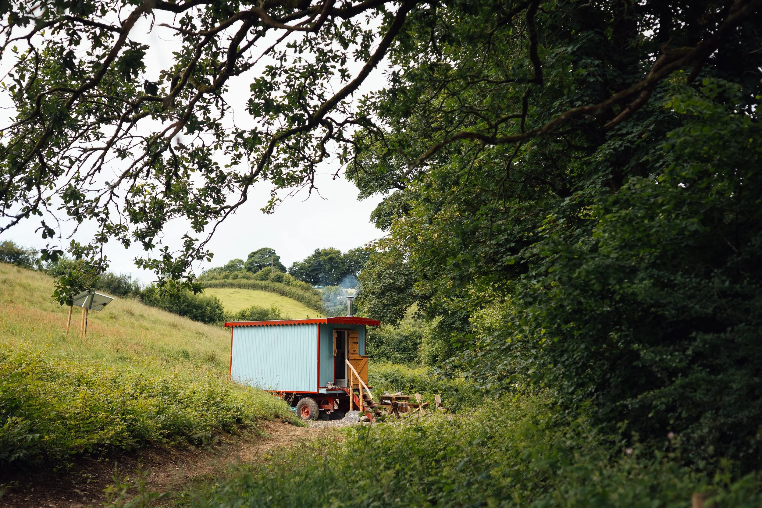 A small blue and red painted wagon with a chimney, located in a lush green, hilly outdoor area, partially hiding behind trees and bushes.