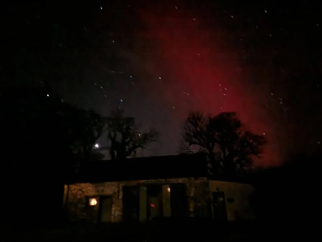 Night sky with stars and a faint red aurora, silhouette of trees and a building with illuminated windows.