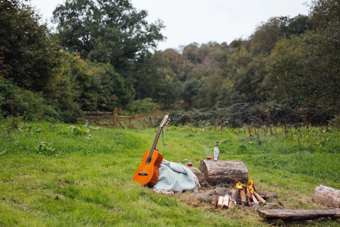 Green meadow with woodland beyond, In the foreground a campfire and logs for sitting, a guitar propped up and a blanket, with a botte and glasses.