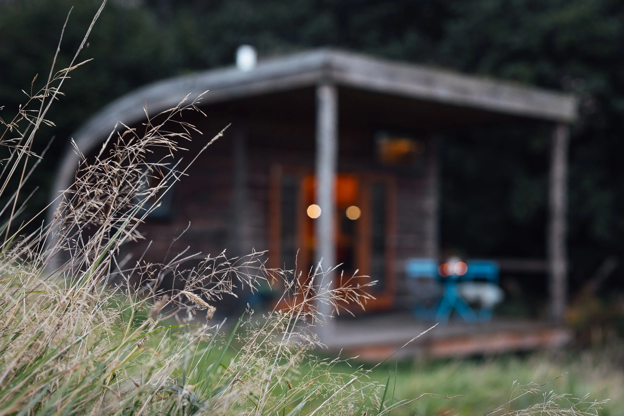 Derwen - timber cabin exterior framed through long native grasses in the meadow in focus, blurred image of cabin beyond with lit up cosy interior and blue metal chairs and table on deck.