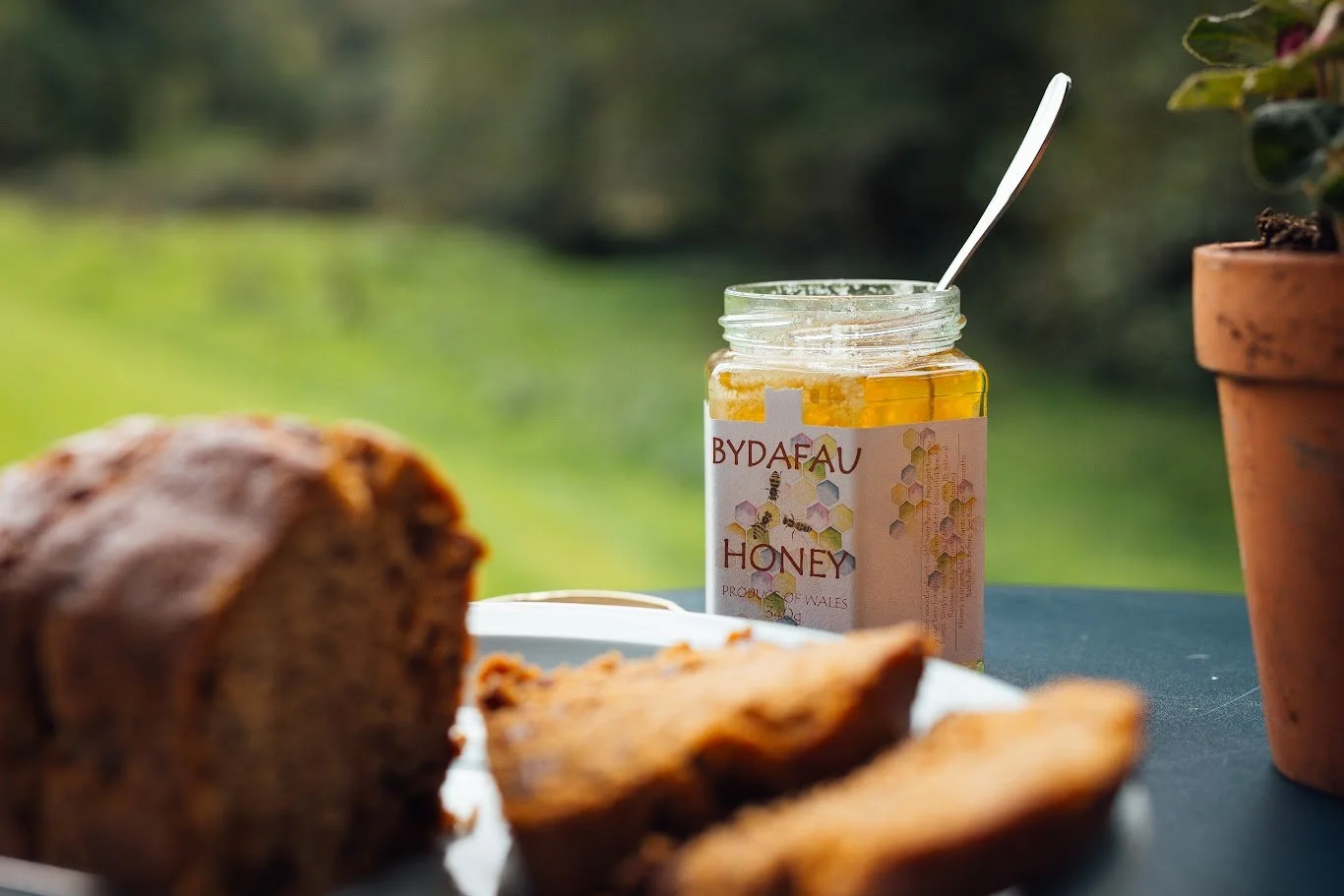 Bydafau honey pot on cabin table with traditional Welsh bara brith cake - ready for teatime! View beyond to the meadow grassy.