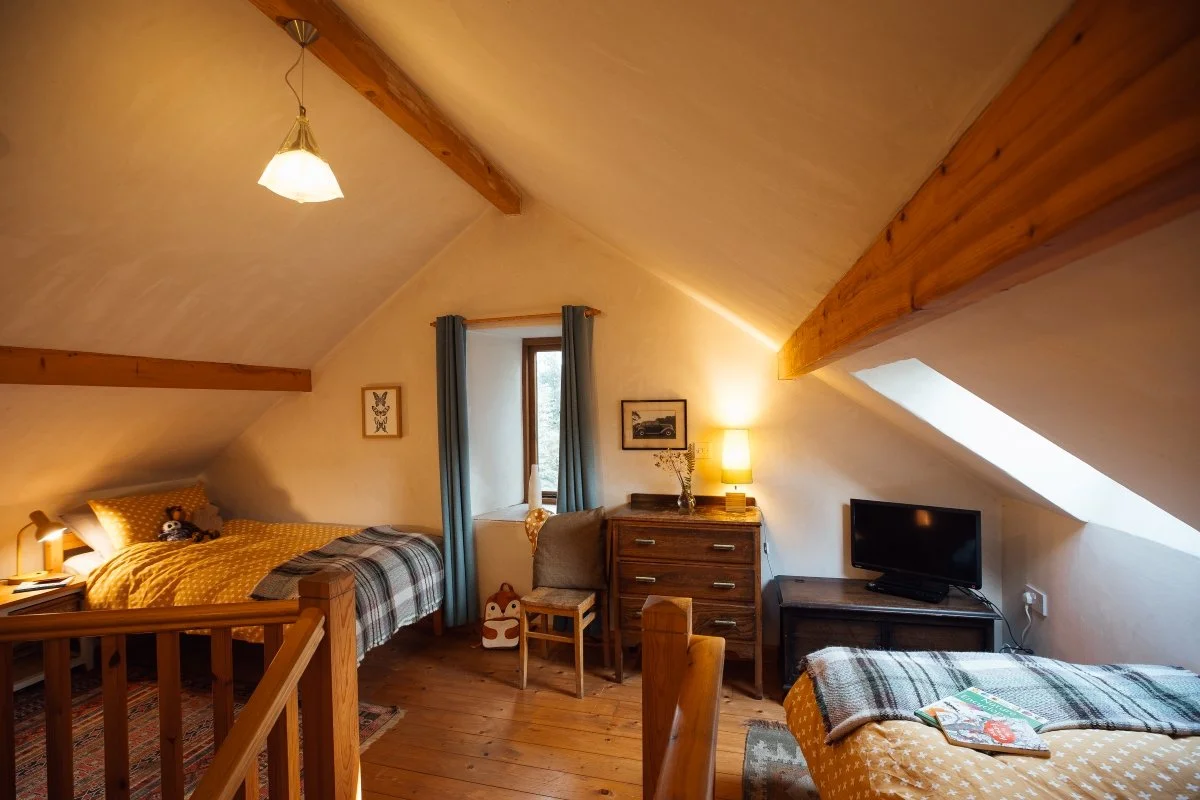 Twin bedroom at Llwynbwch under sloping gable roof with exposed warm timber beams; cream walls, wooden floor, two twin beds with Welsh checked blankets and rails to staircase leading up to bedroom in foreground.