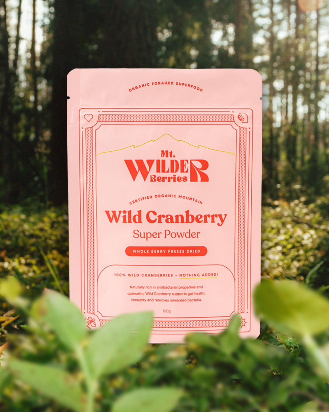 WILD CRANBERRY POWDER.png