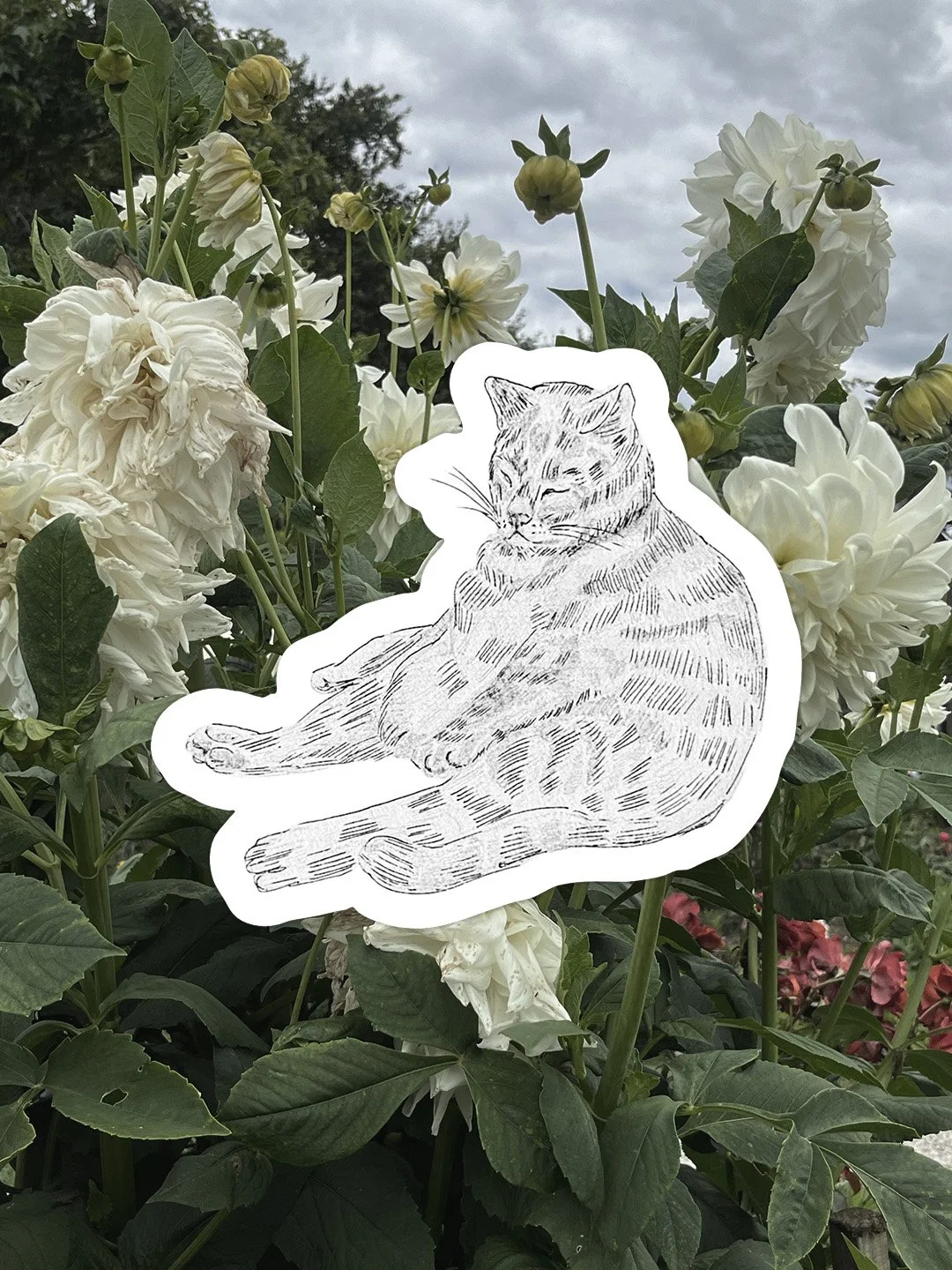 HUNTER-STICKER.jpg