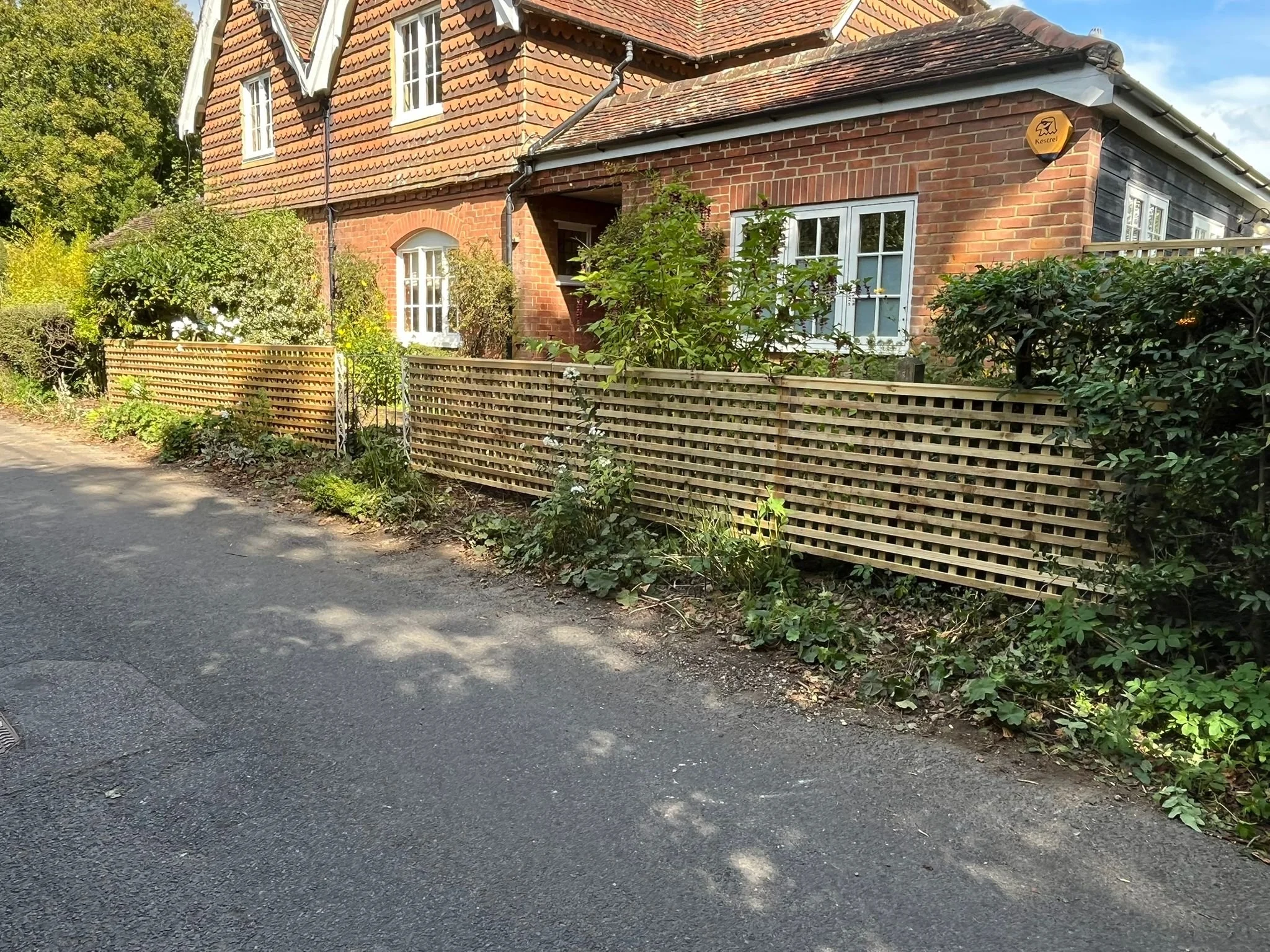 Trellis fencing