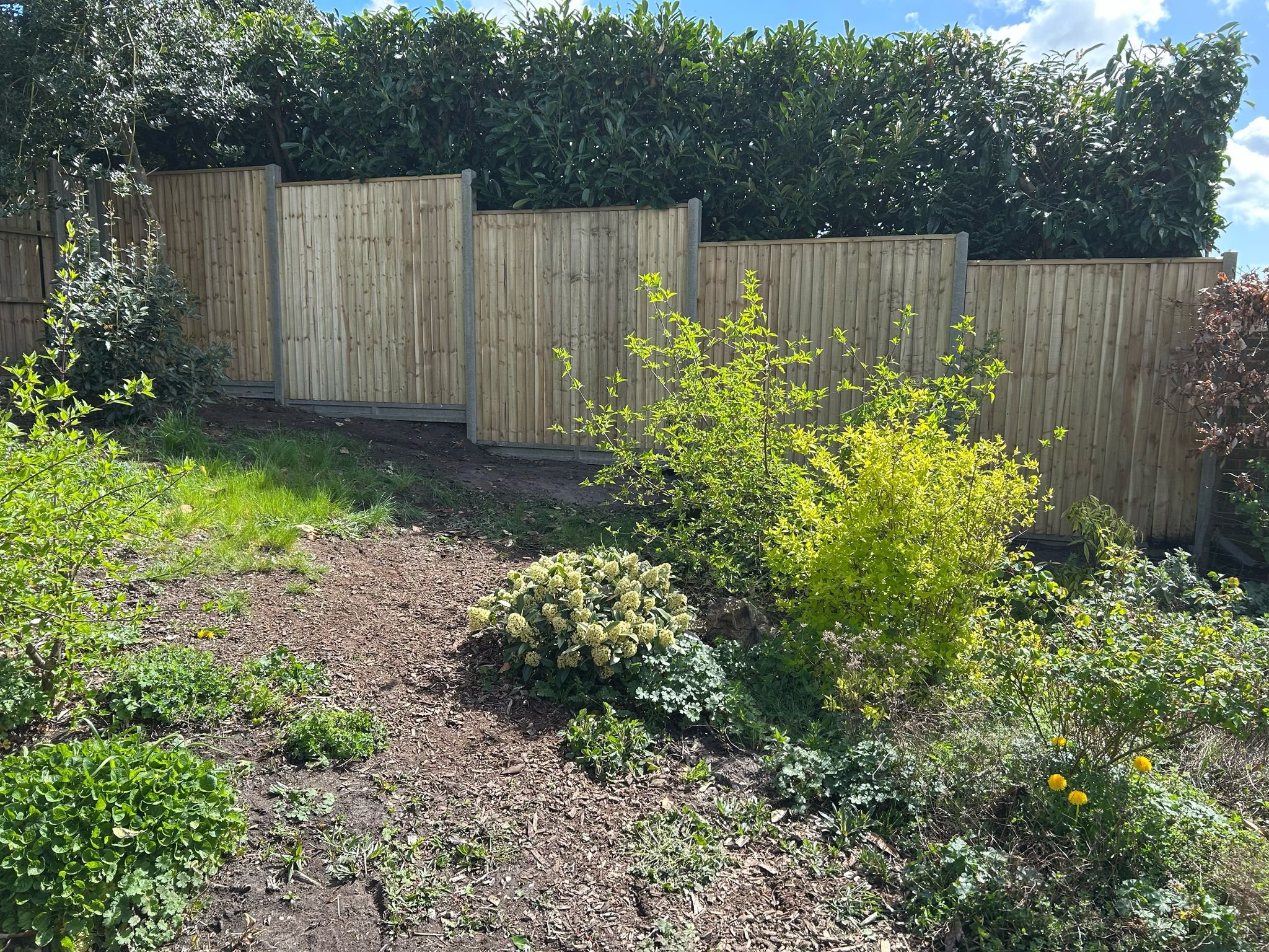 Closeboard Panels with Concrete Posts and Concrete Gravel Boards