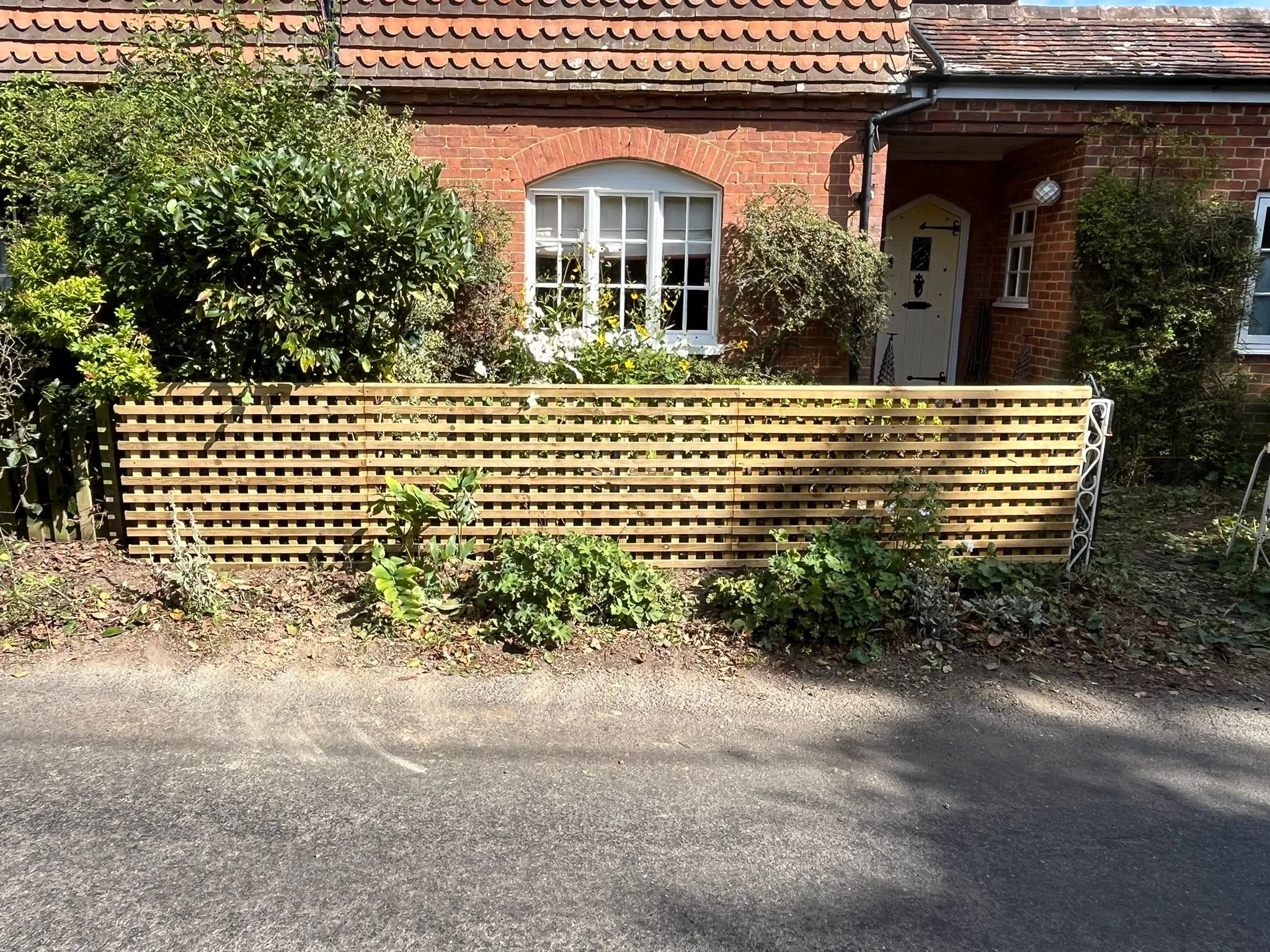 Trellis fencing