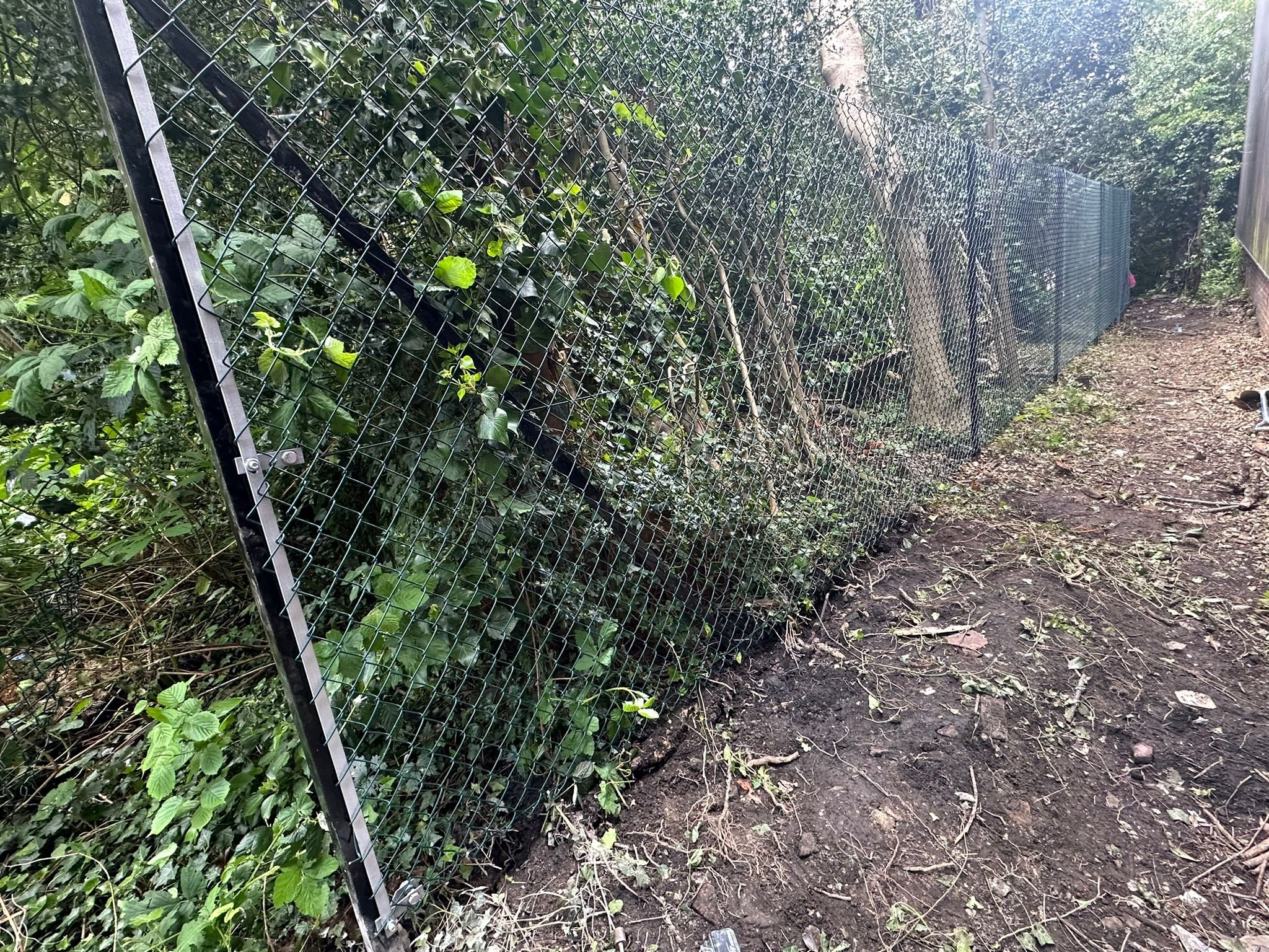Chan link Fencing
