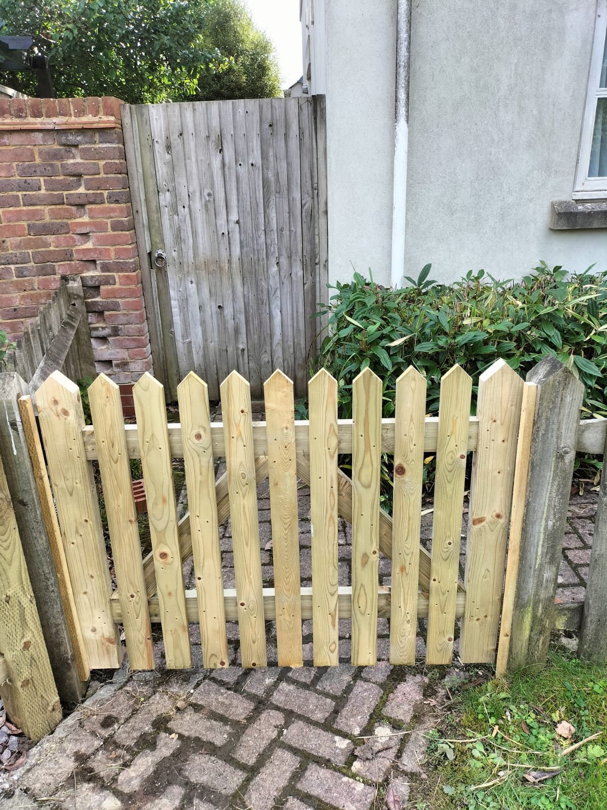 Picket Gate - pointed top