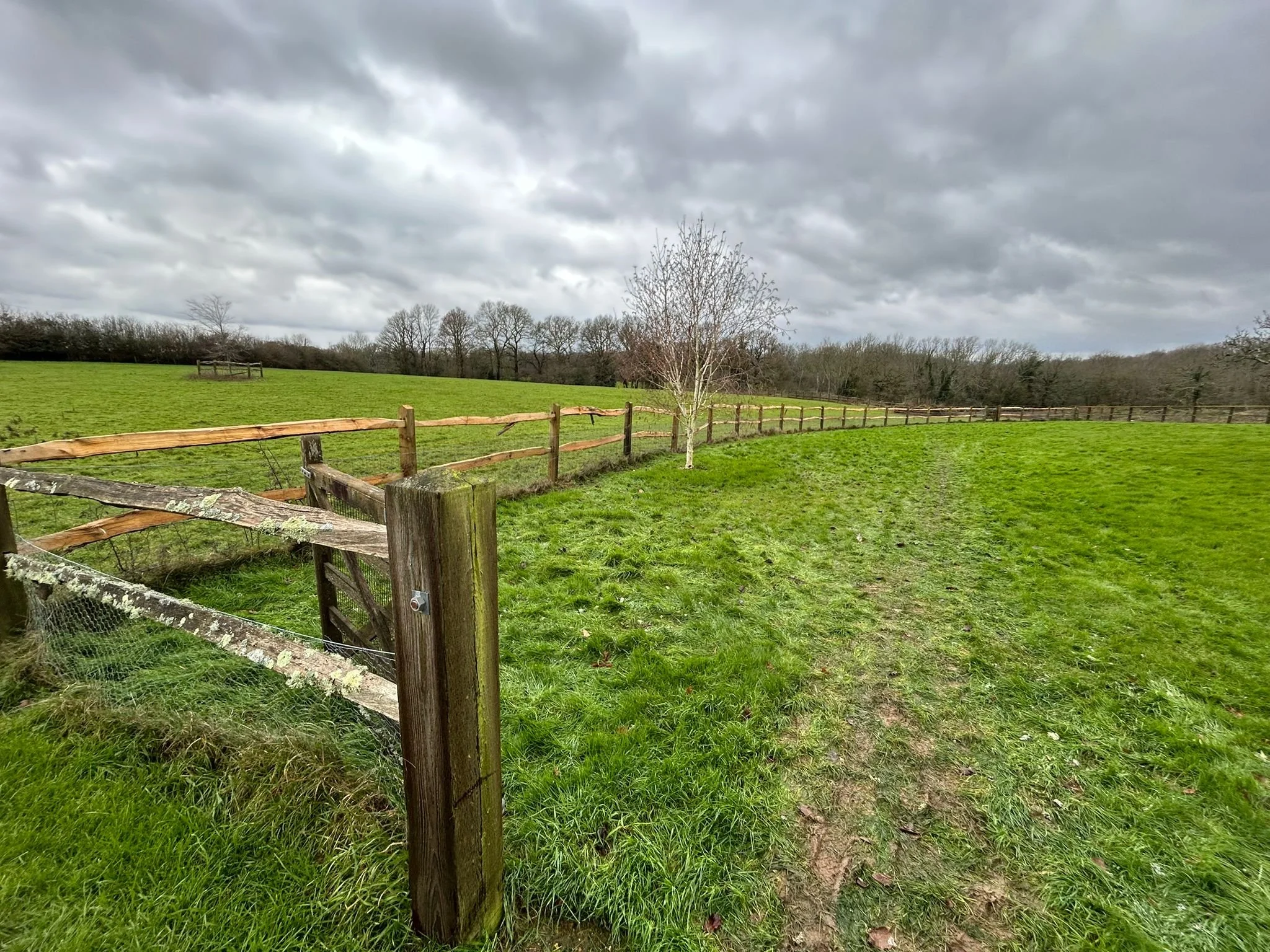 WhatsApp Image 2026-01-19 at 16.28.26.jpeg