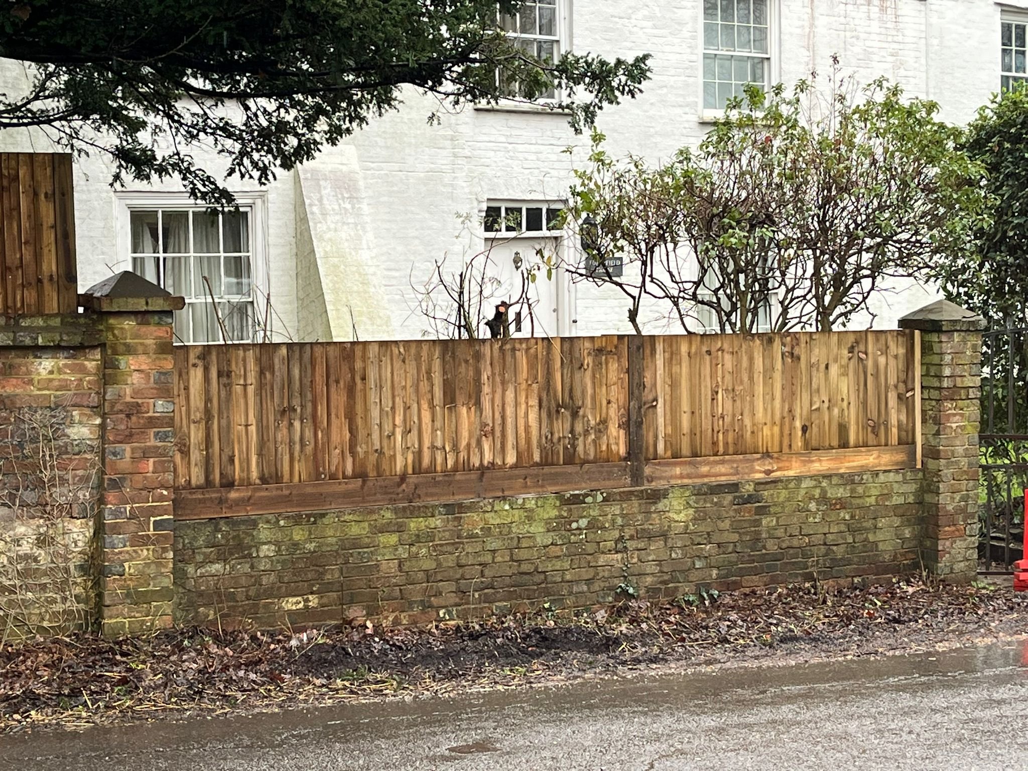 WhatsApp Image 2026-01-23 at 15.21.50.jpeg