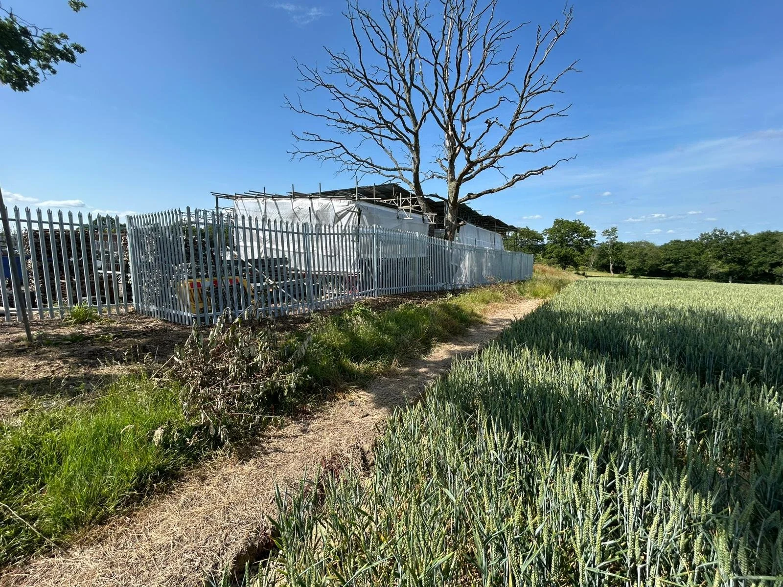 Metal palisade fencing
