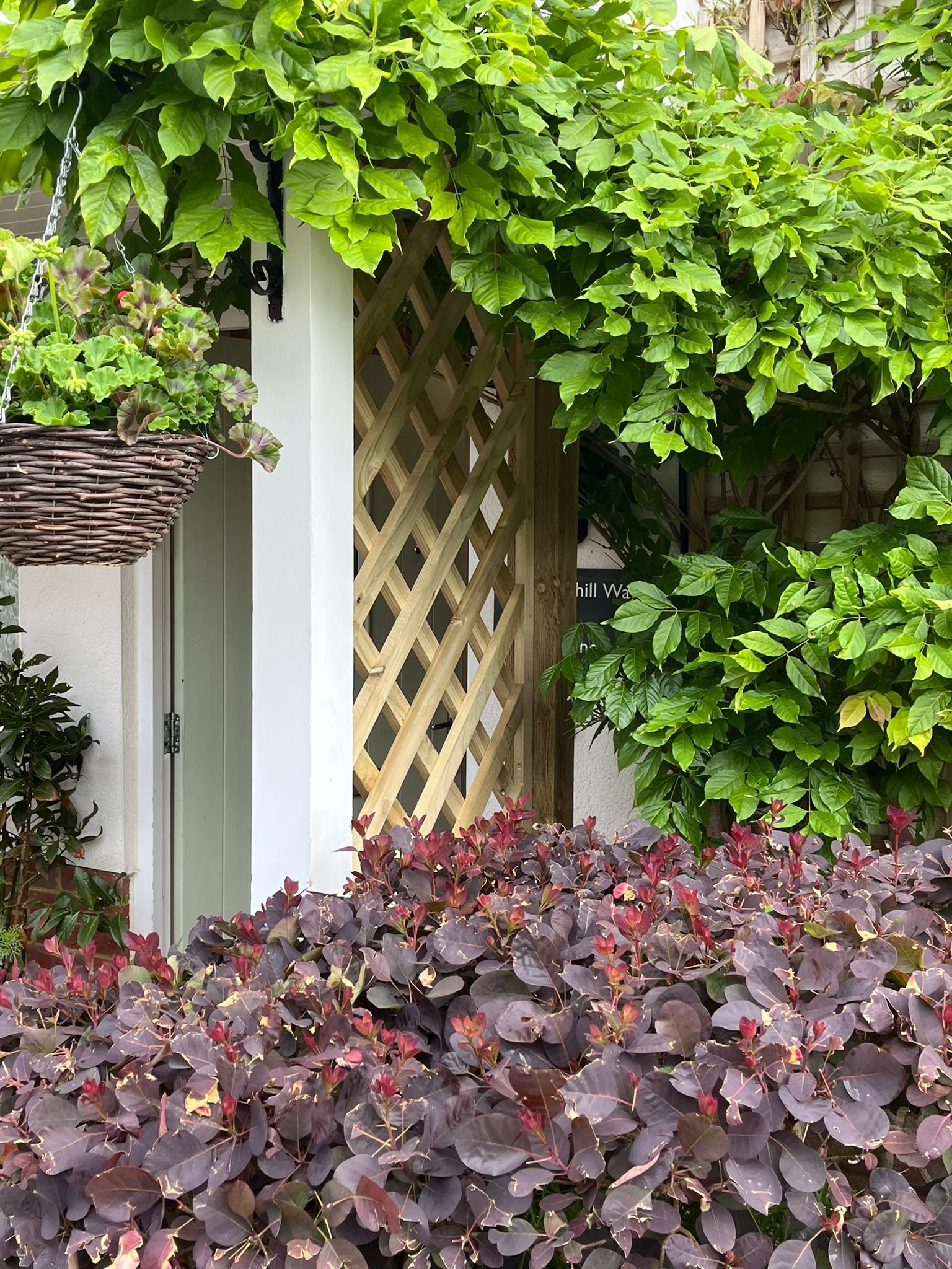 Diamond Trellis