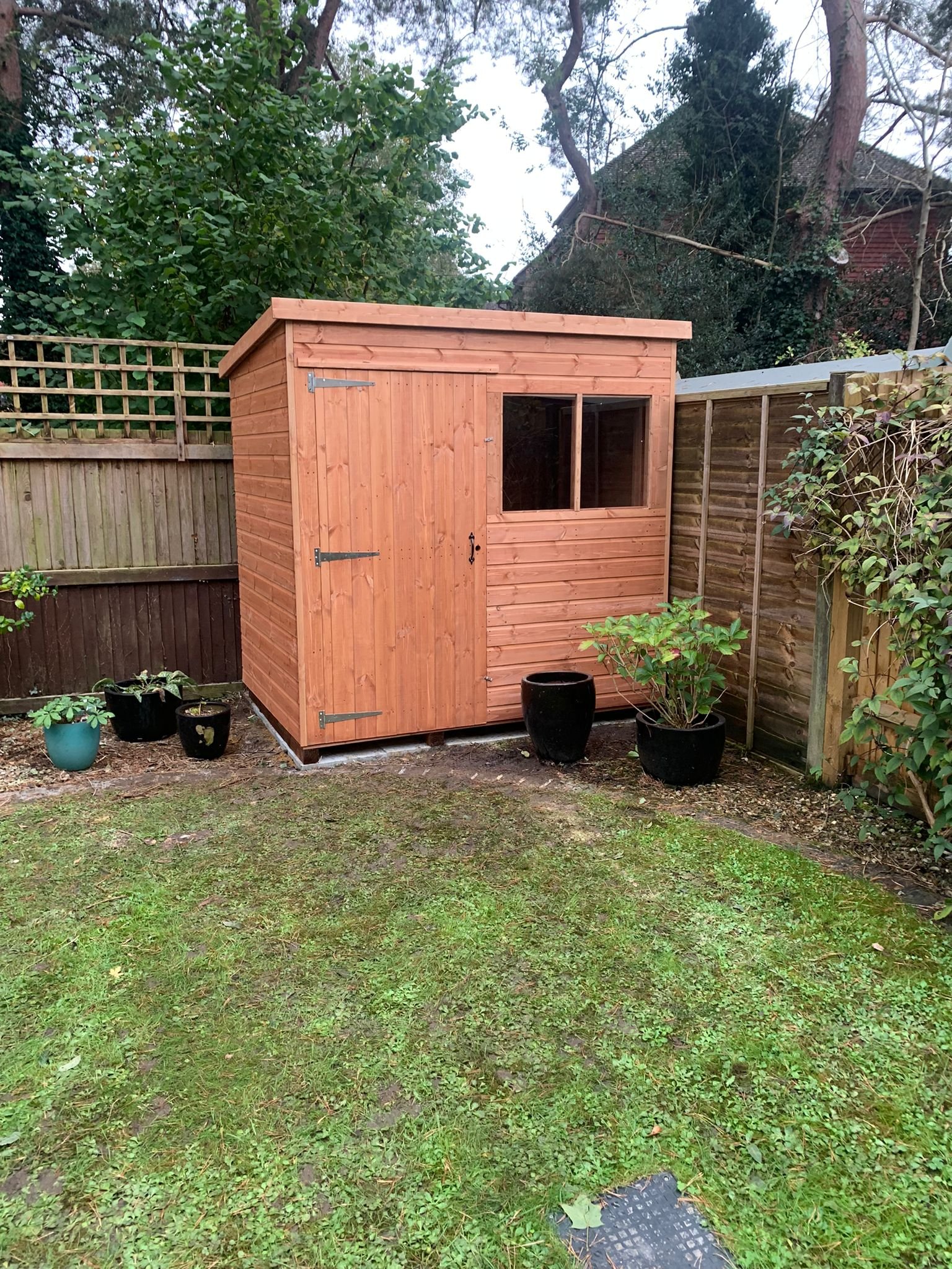Pent Shed