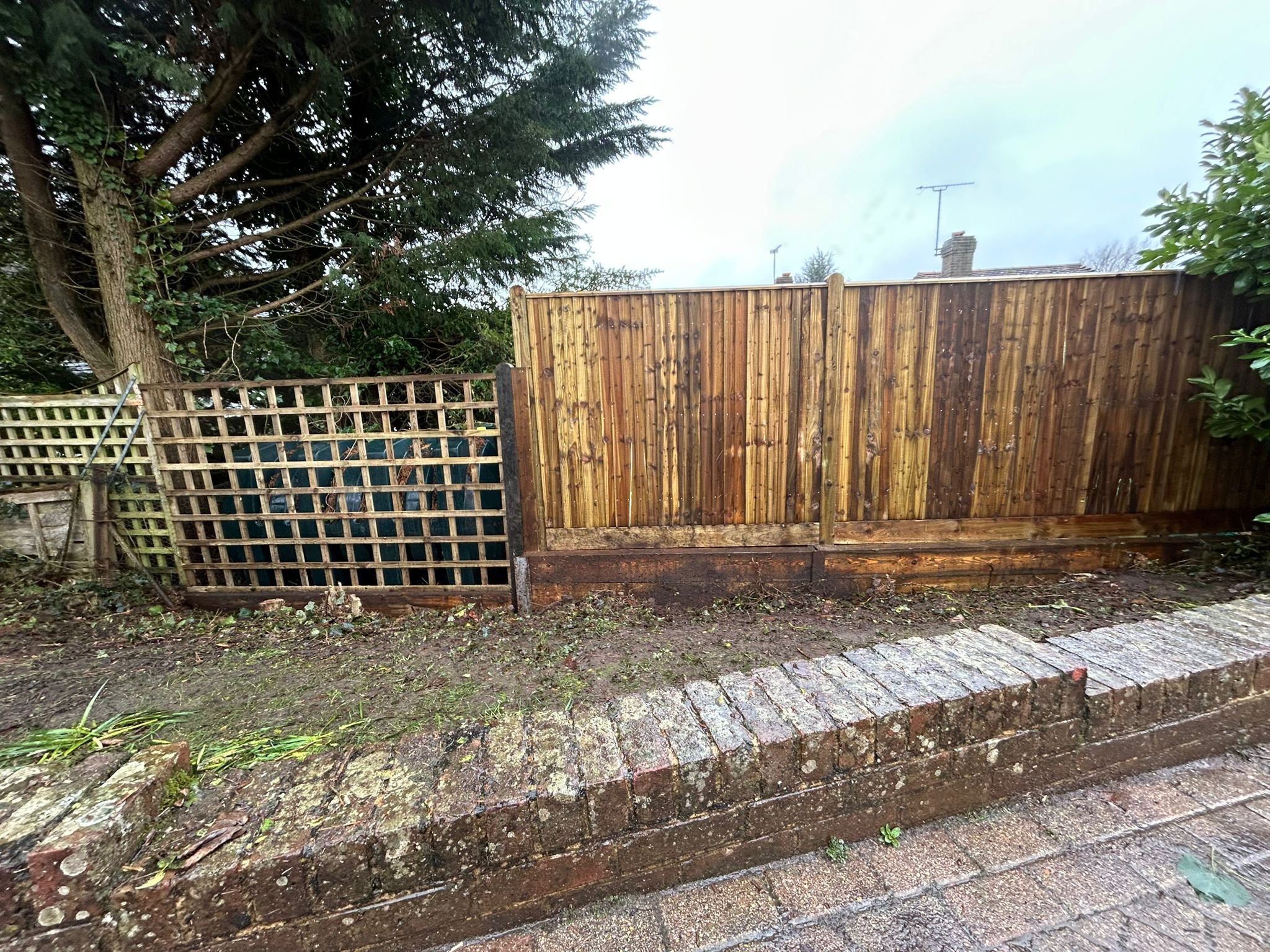 WhatsApp Image 2026-02-04 at 18.21.15.jpeg