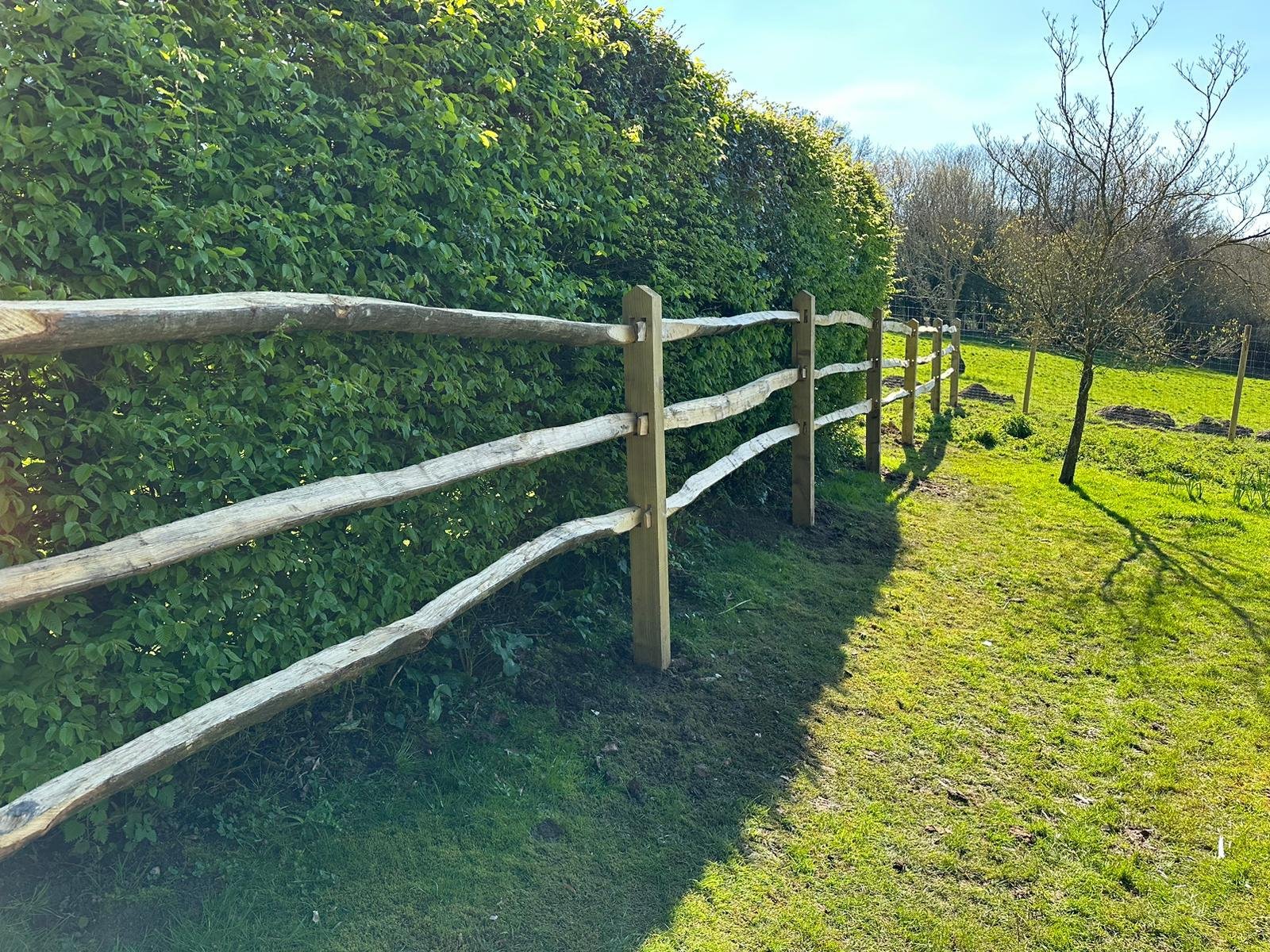 Post and Rail - Three Rails