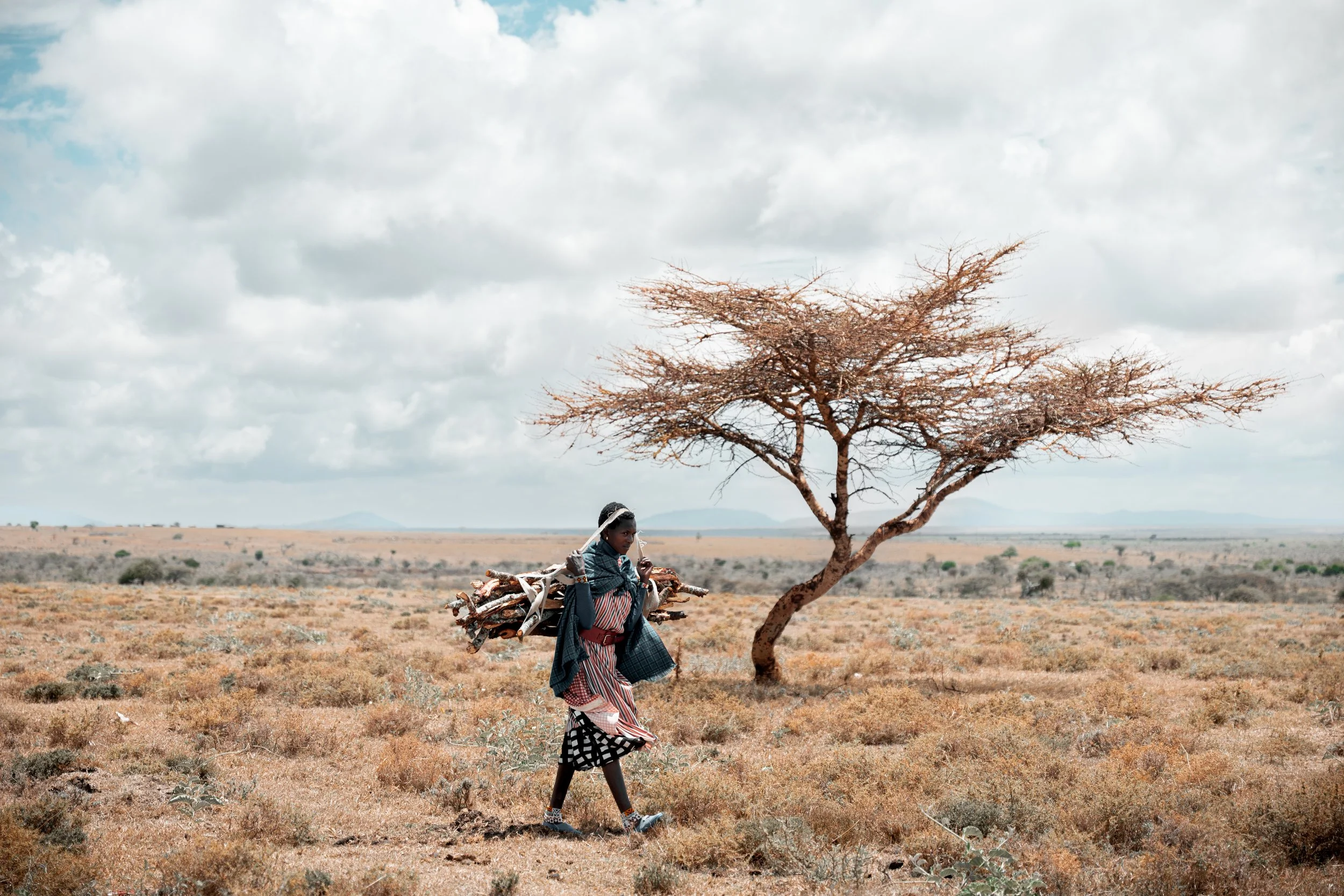 Tanzania - Flint Global (Copy)