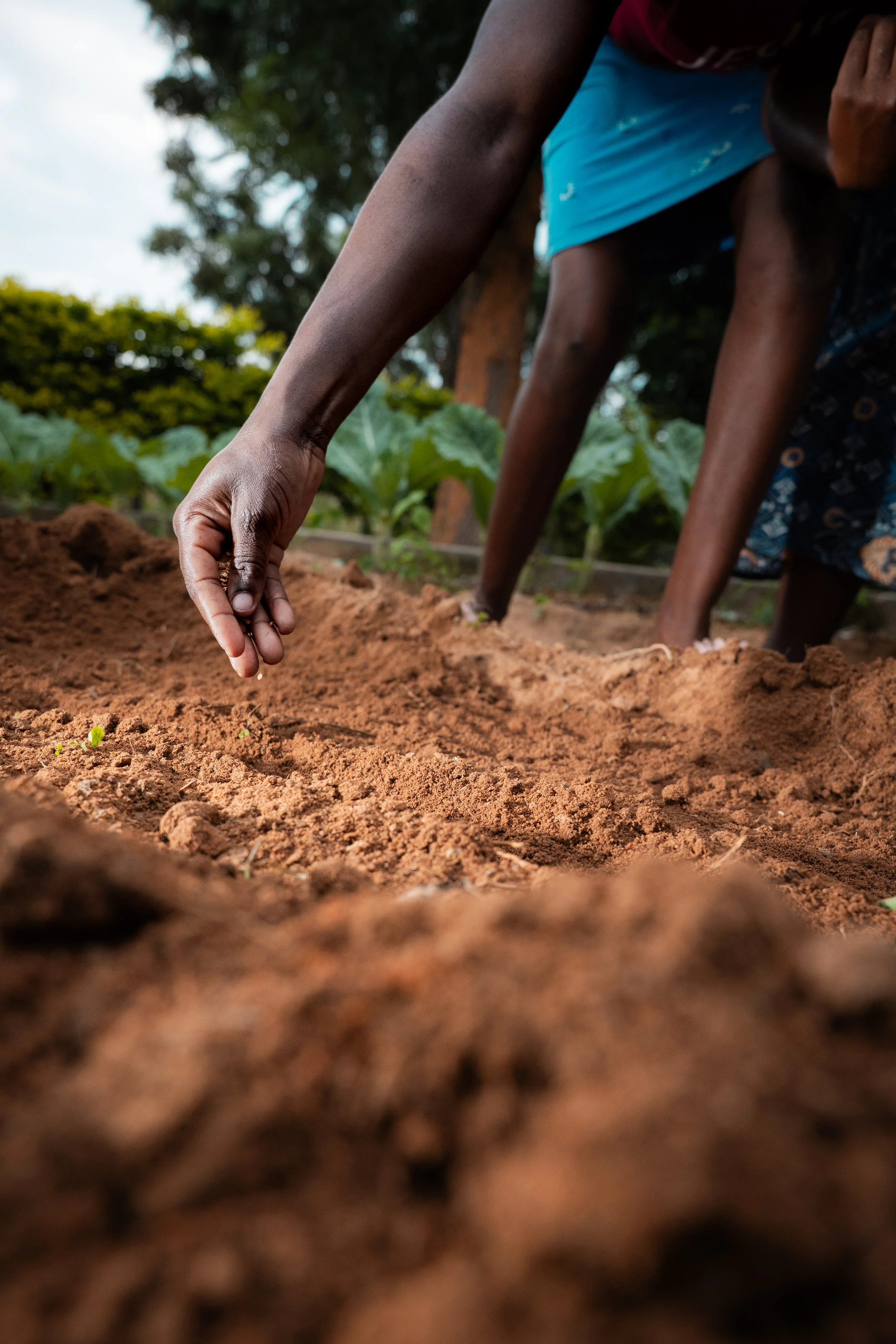 Zimbabwe - Healing Hands International 1 (Copy)