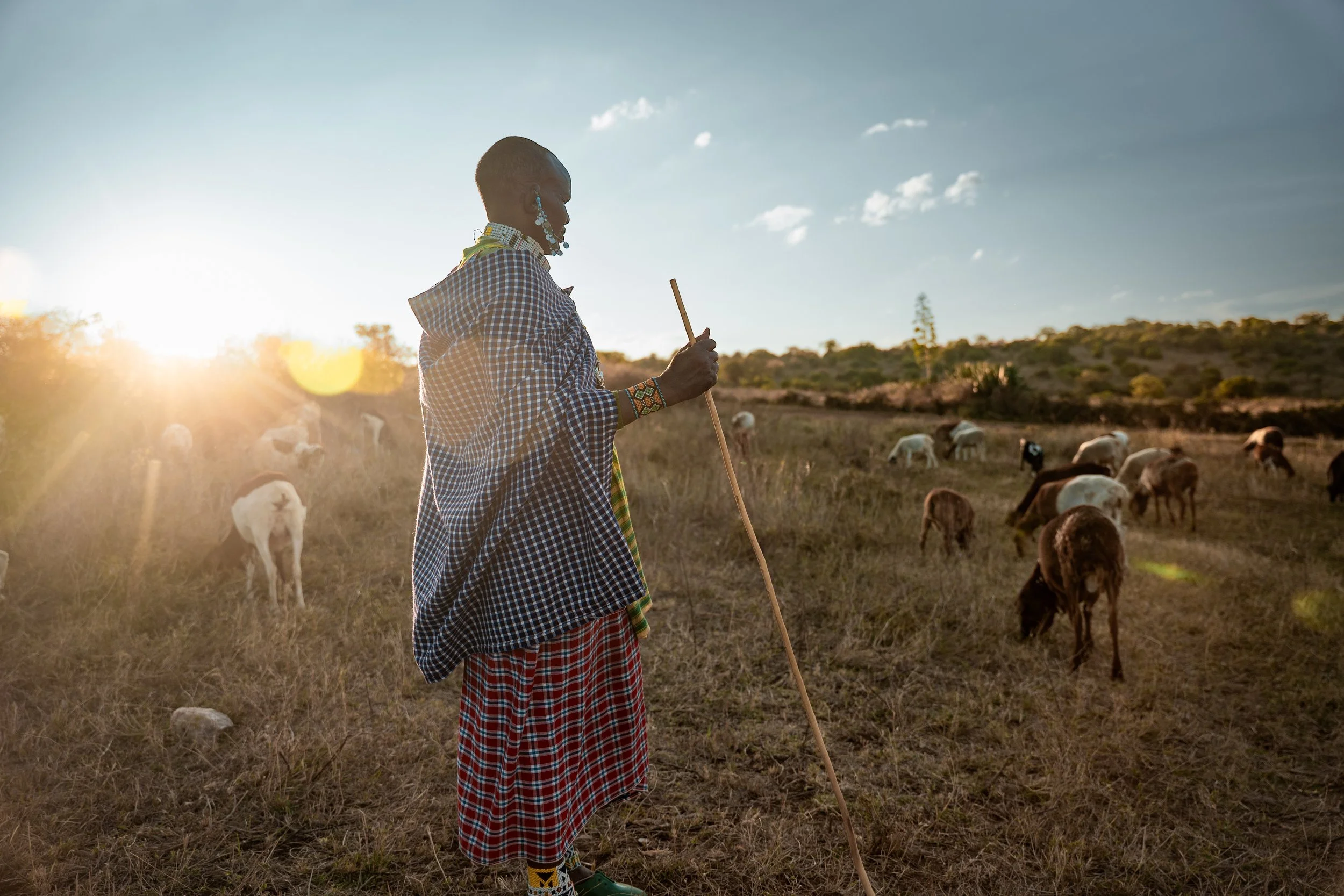 Tanzania - Flint Global 7 (Copy)