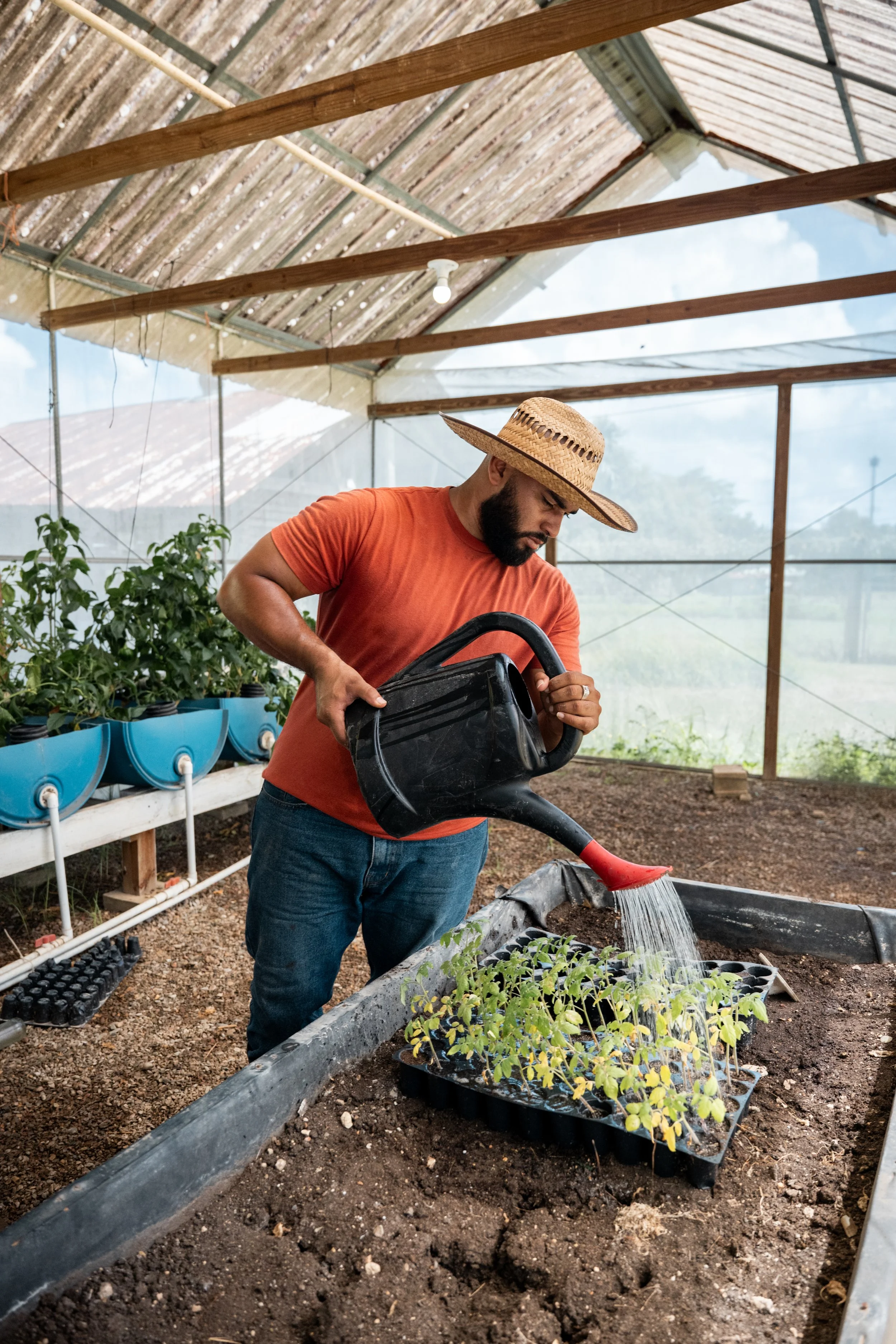 Belize - Human Trafficking Institute 1 (Copy)