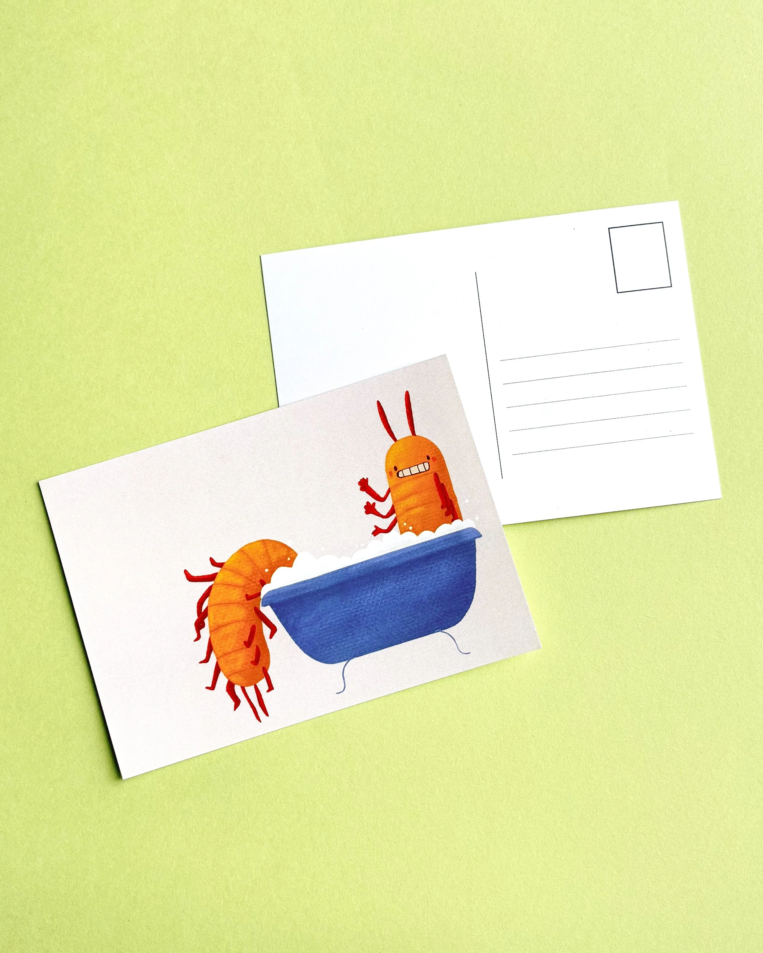 Centipede in the Bath, Postcard