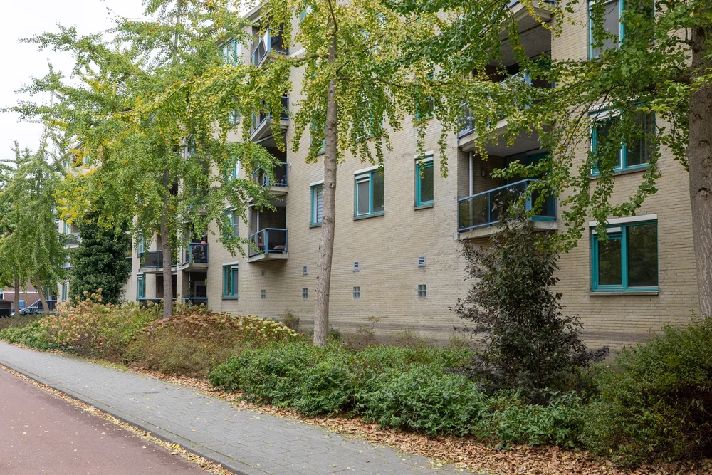 Woonproject Van Milplaats — zijaanzicht met bomen en groenstrook