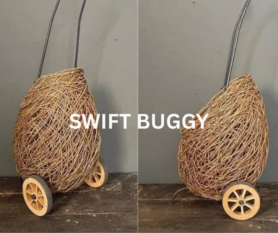 swift buggy 2.png