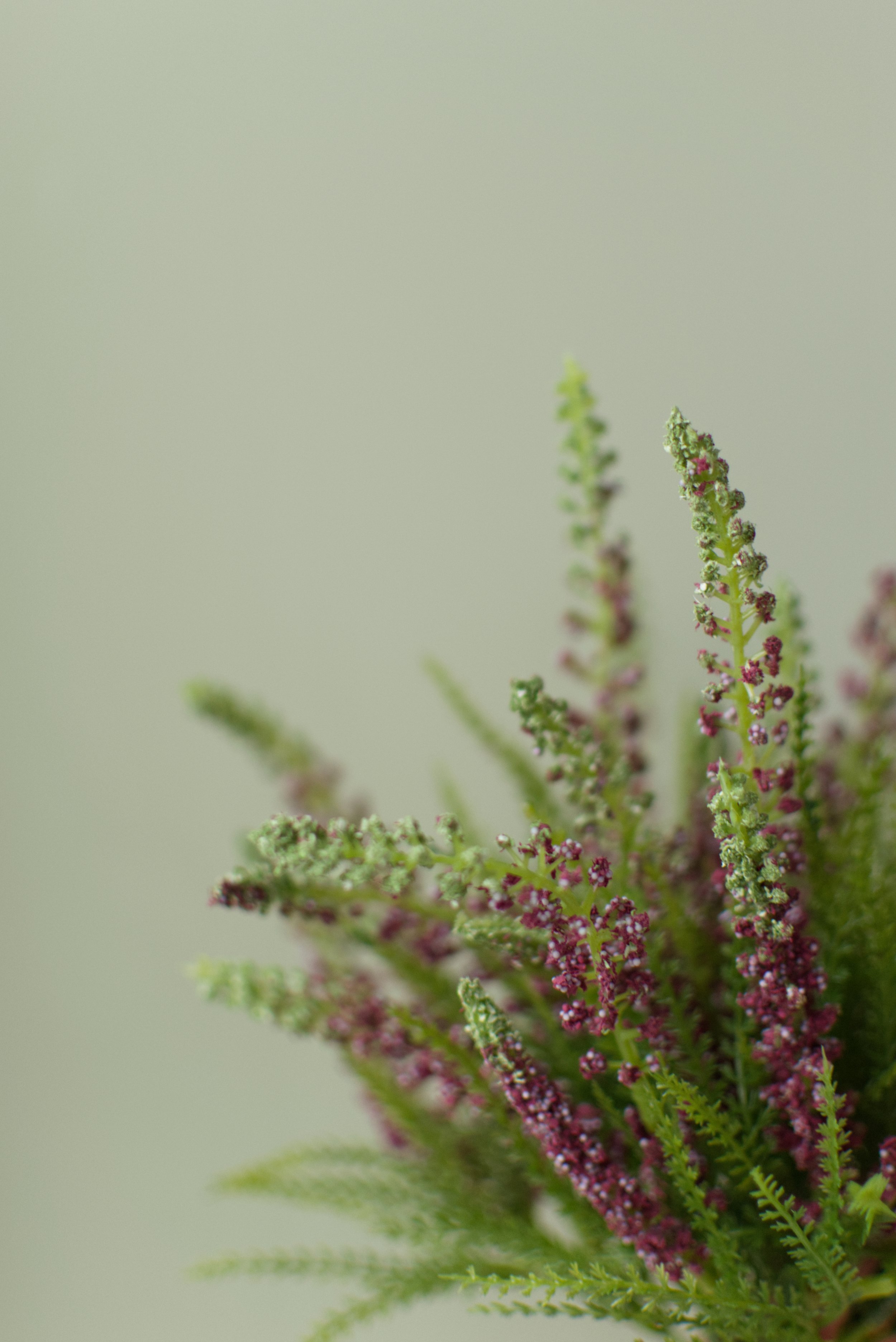 Heather Dusky Pink detail