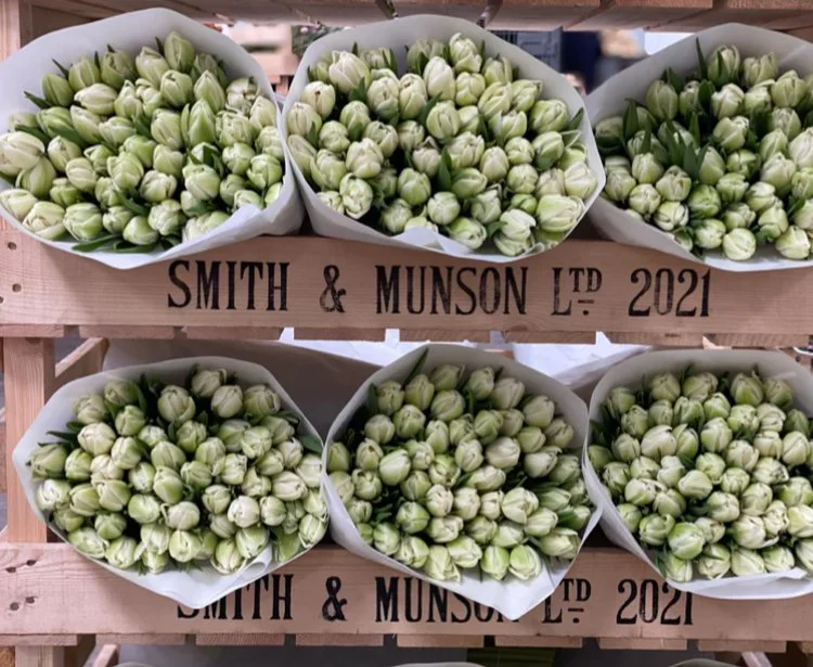 FRESH British Mothering Sunday Tulips