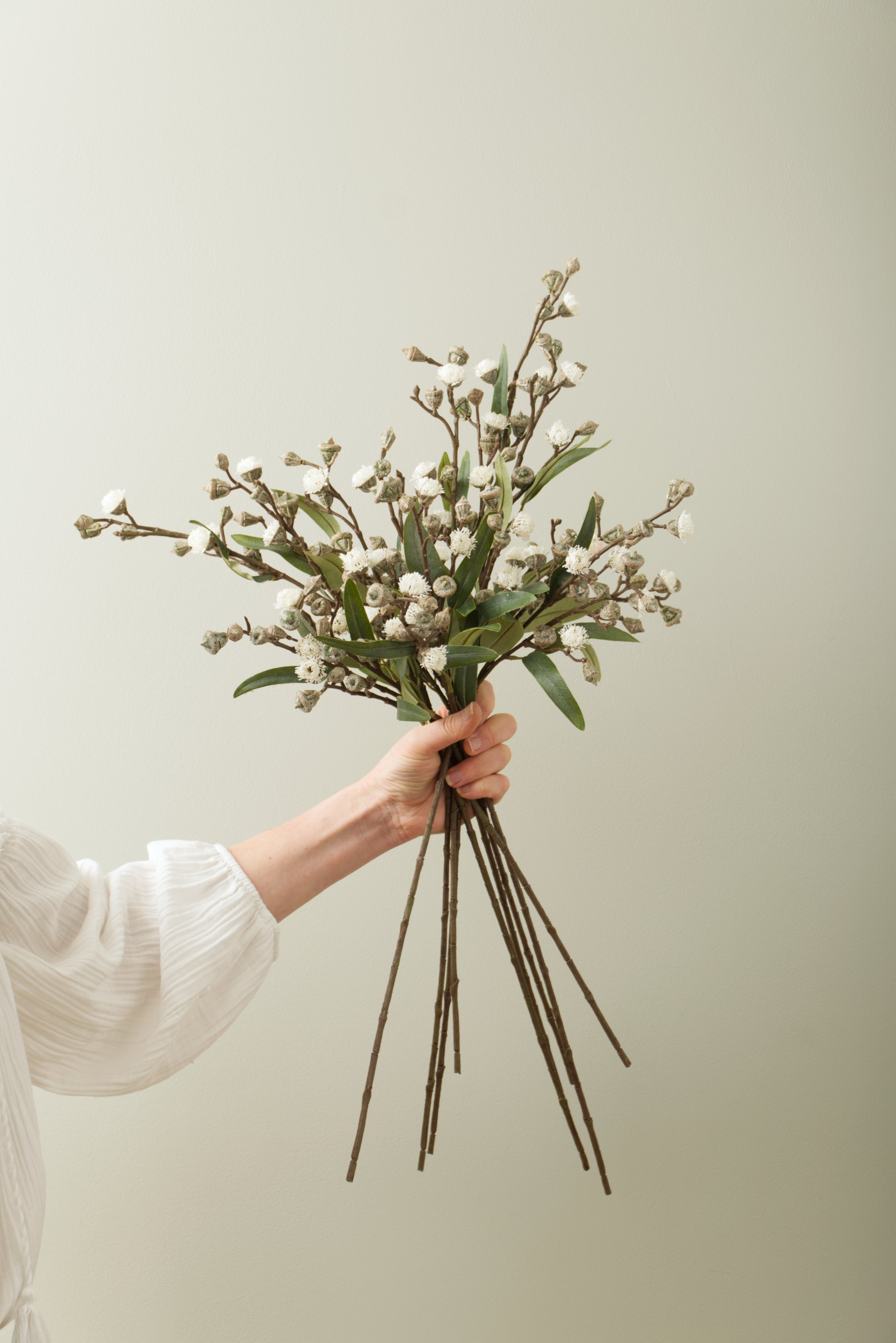 Eucalyptus Boule