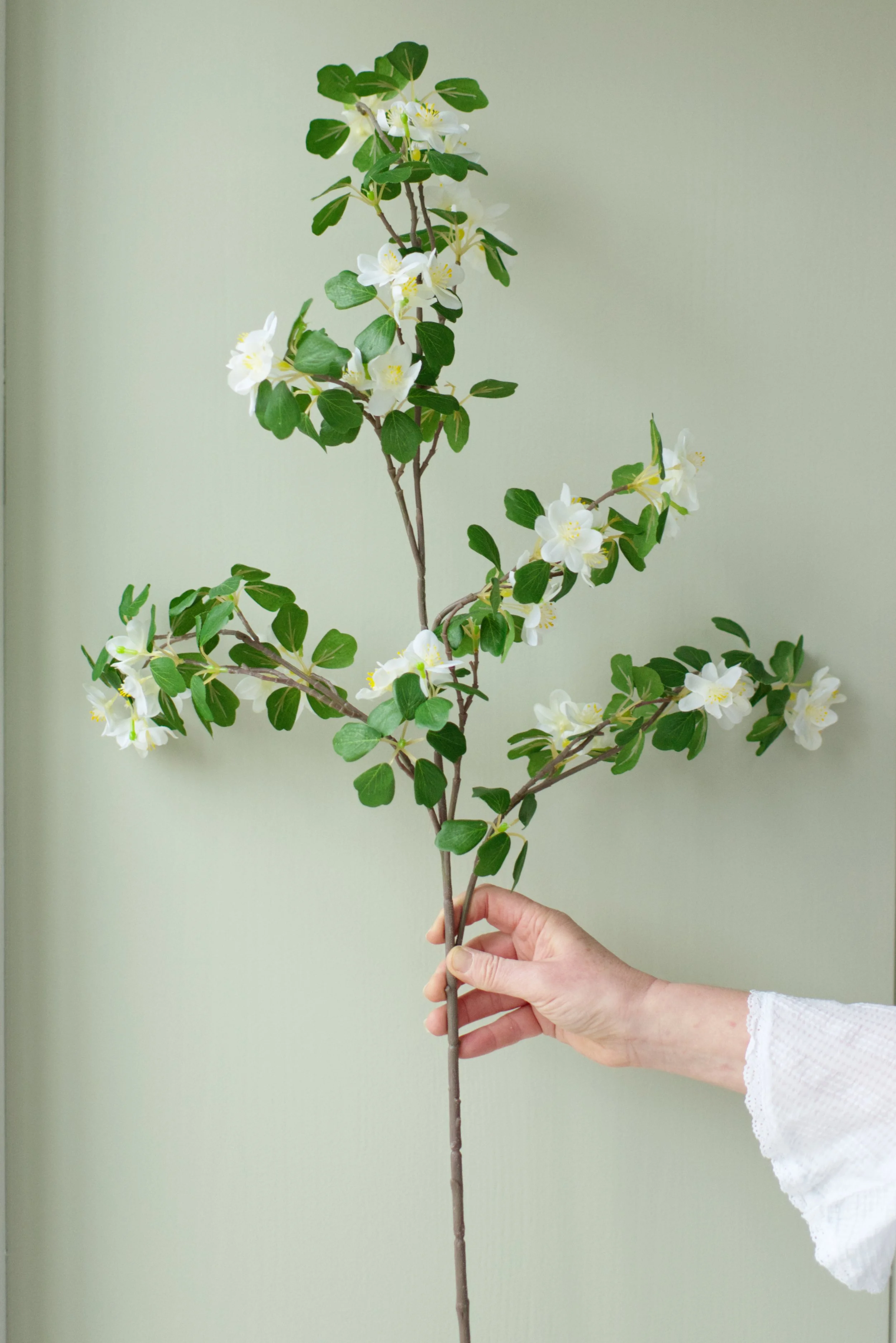 Apple Blossom White single stem