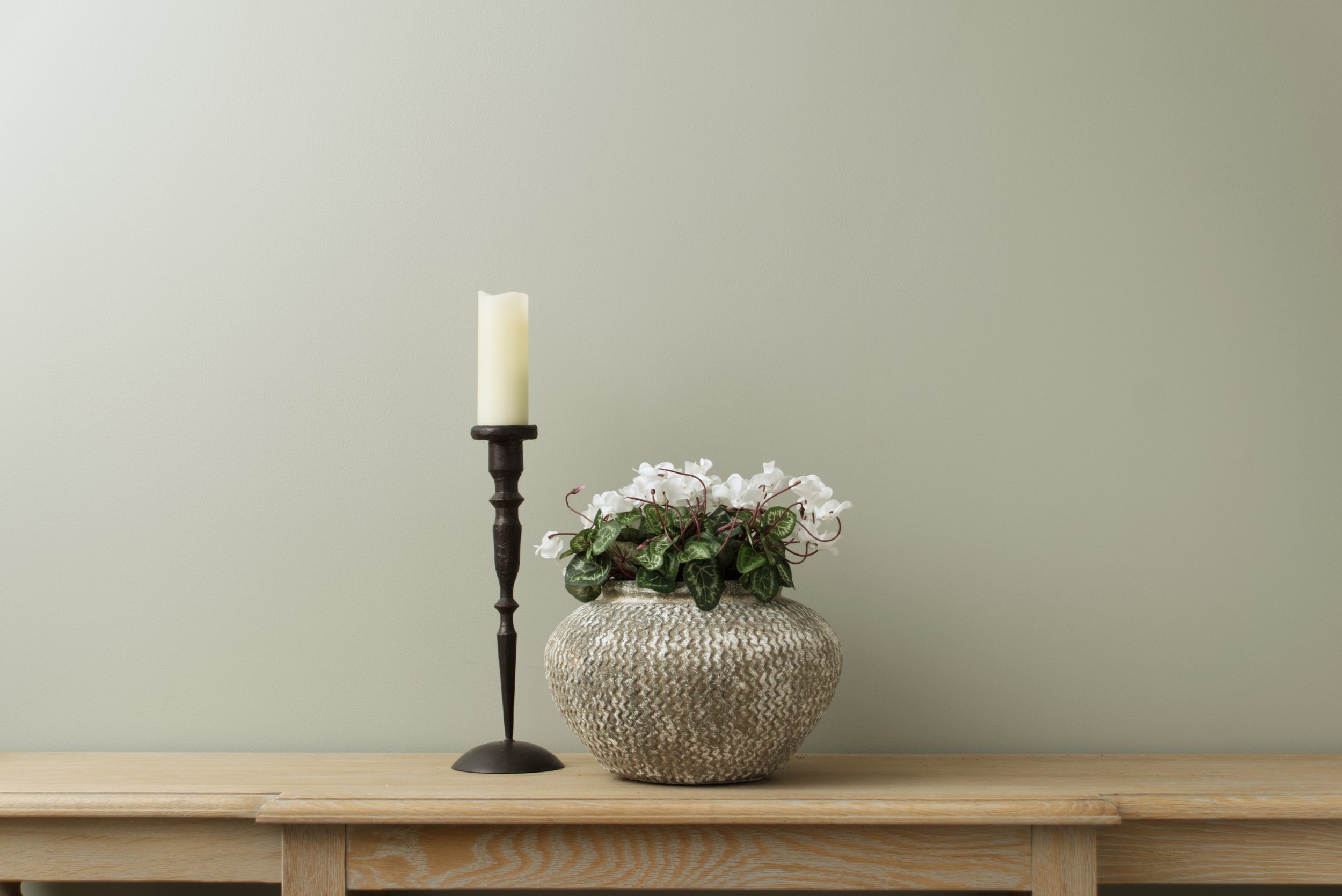 Cyclamen White in vase