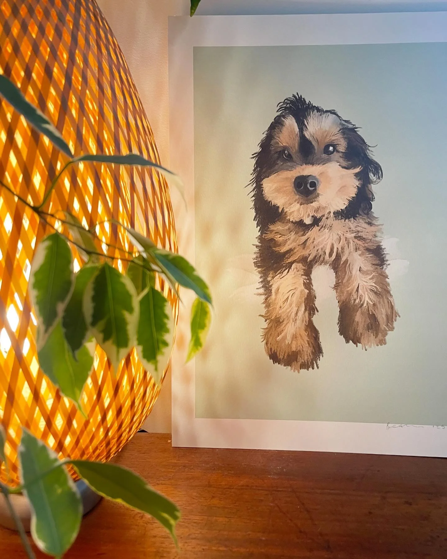 Obsessed with this ball of Fluff, Oakleigh 🩷 what a sweetie!

Thanks for keeping me busy with your pet portraits. It&rsquo;s always such a joy to try and capture the character of your furry friends 🐶