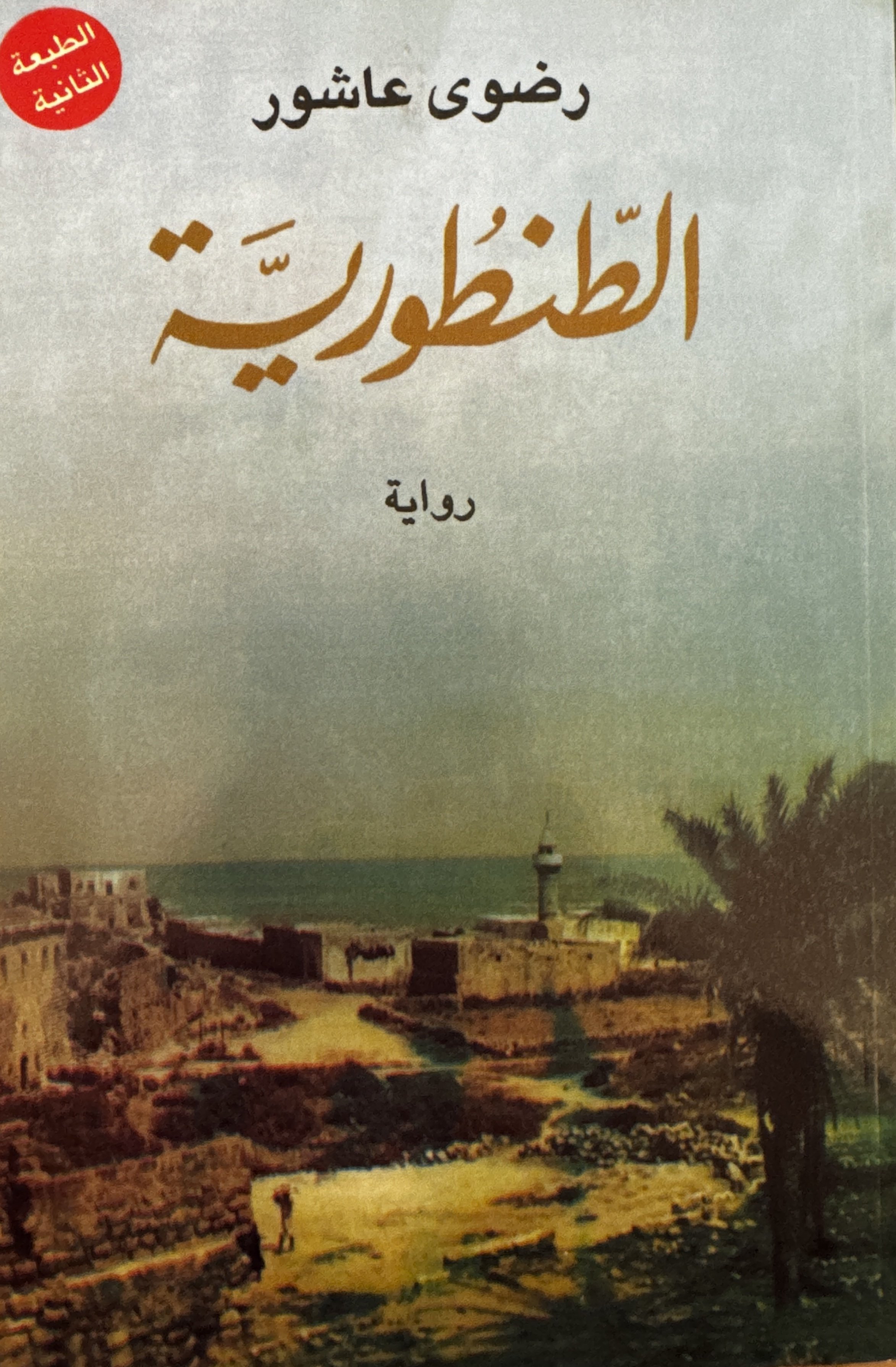 Al Tantouriah (الطنطورية) by Radwa Ashour
 (رضوى عاشور),  دار الشروق
(2011)