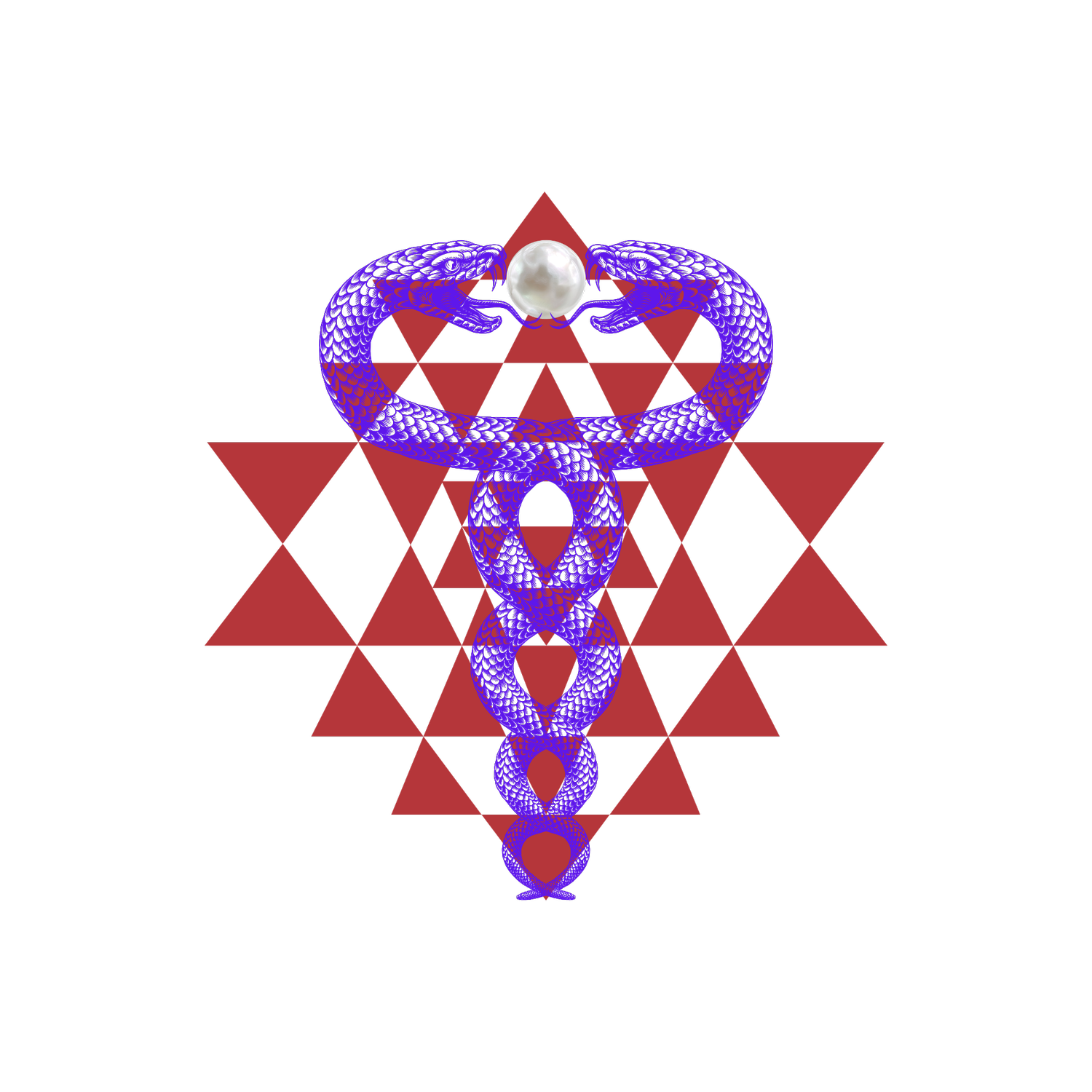 Mushroom Consciousness